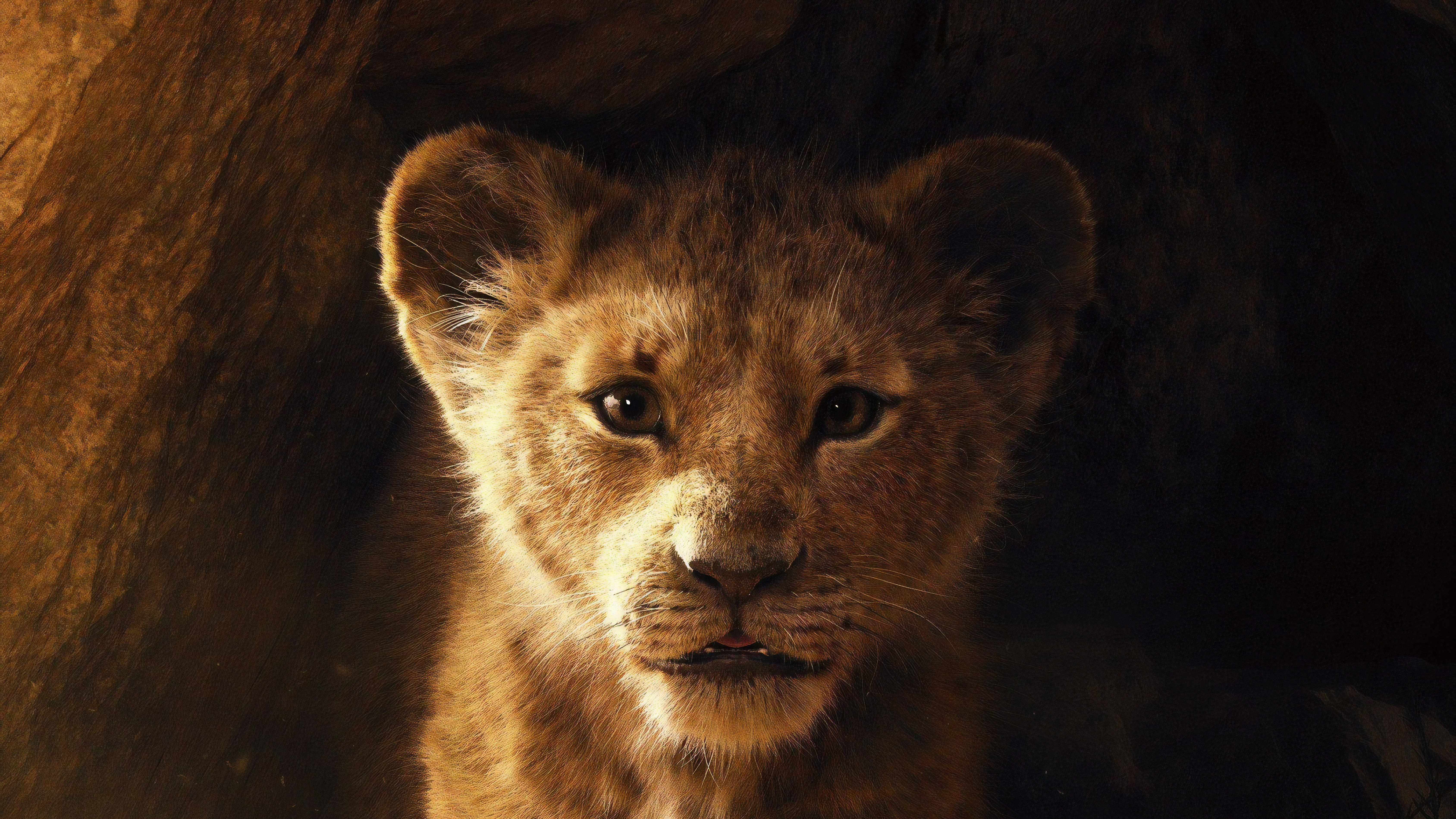 Die besten Der König Der Löwen (2019)-Hintergründe für den Telefonbildschirm