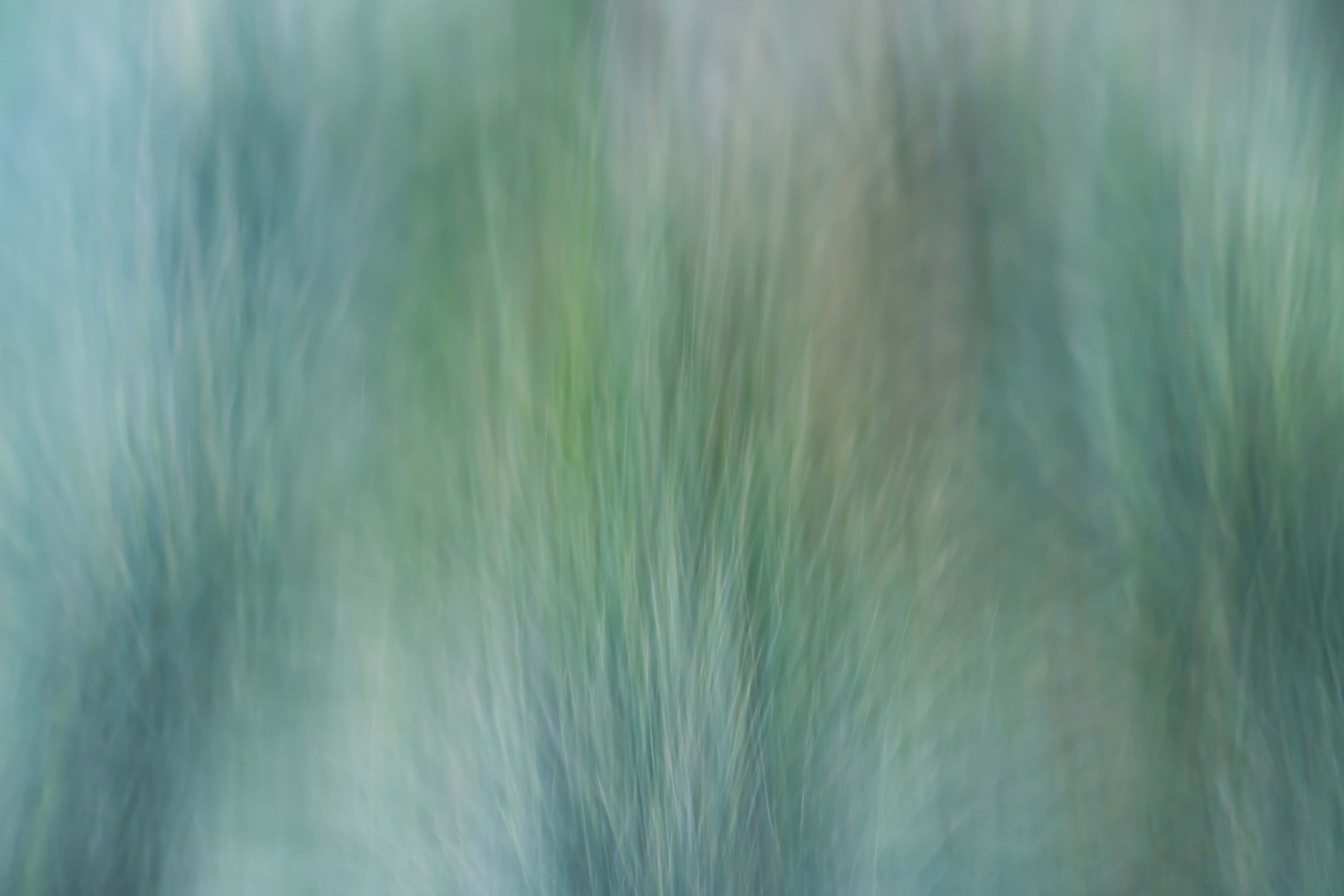 Download mobile wallpaper Grass, Distortion, Wind, Abstract for free.