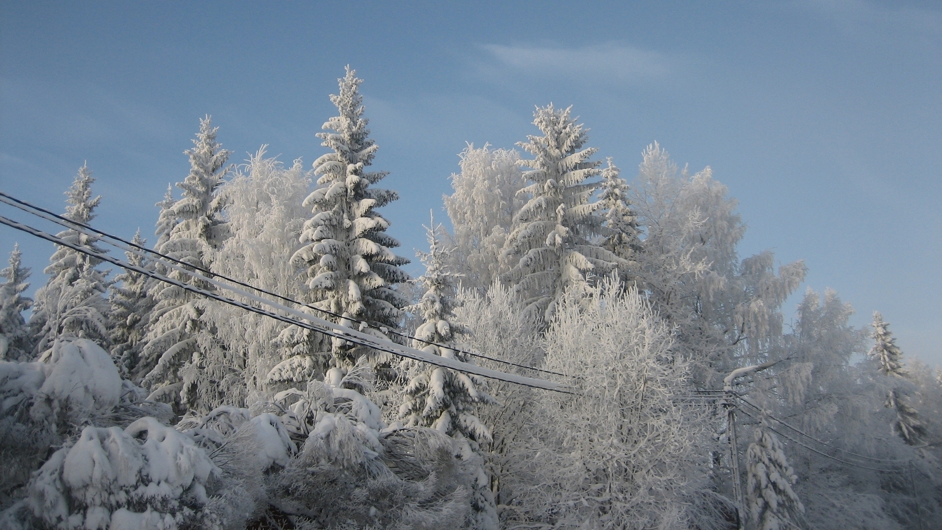 Handy-Wallpaper Winter, Schnee, Baum, Fotografie kostenlos herunterladen.