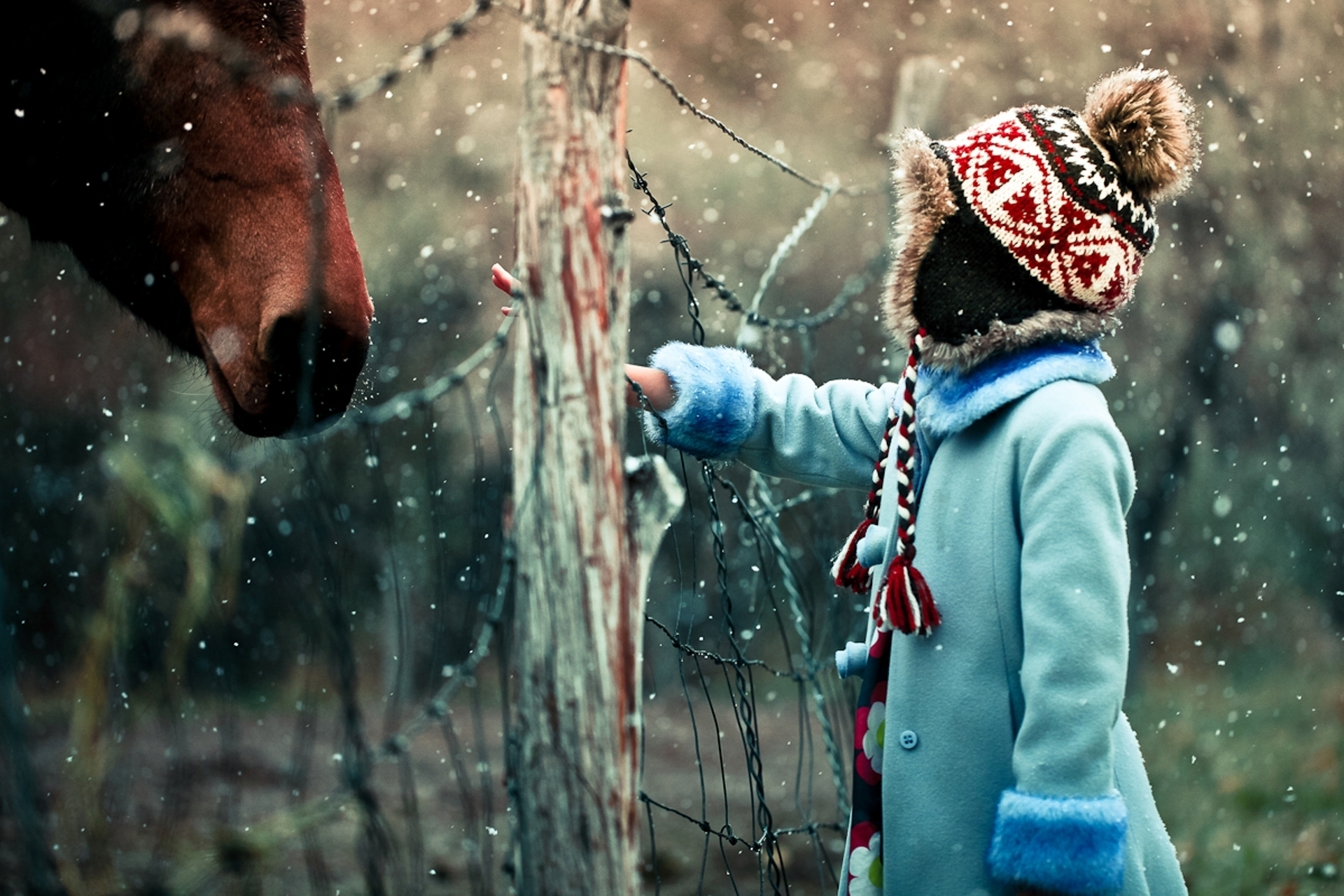 53198 скачать картинку любопытство, зима, снег, разное, ребенок, лошадь - обои и заставки бесплатно