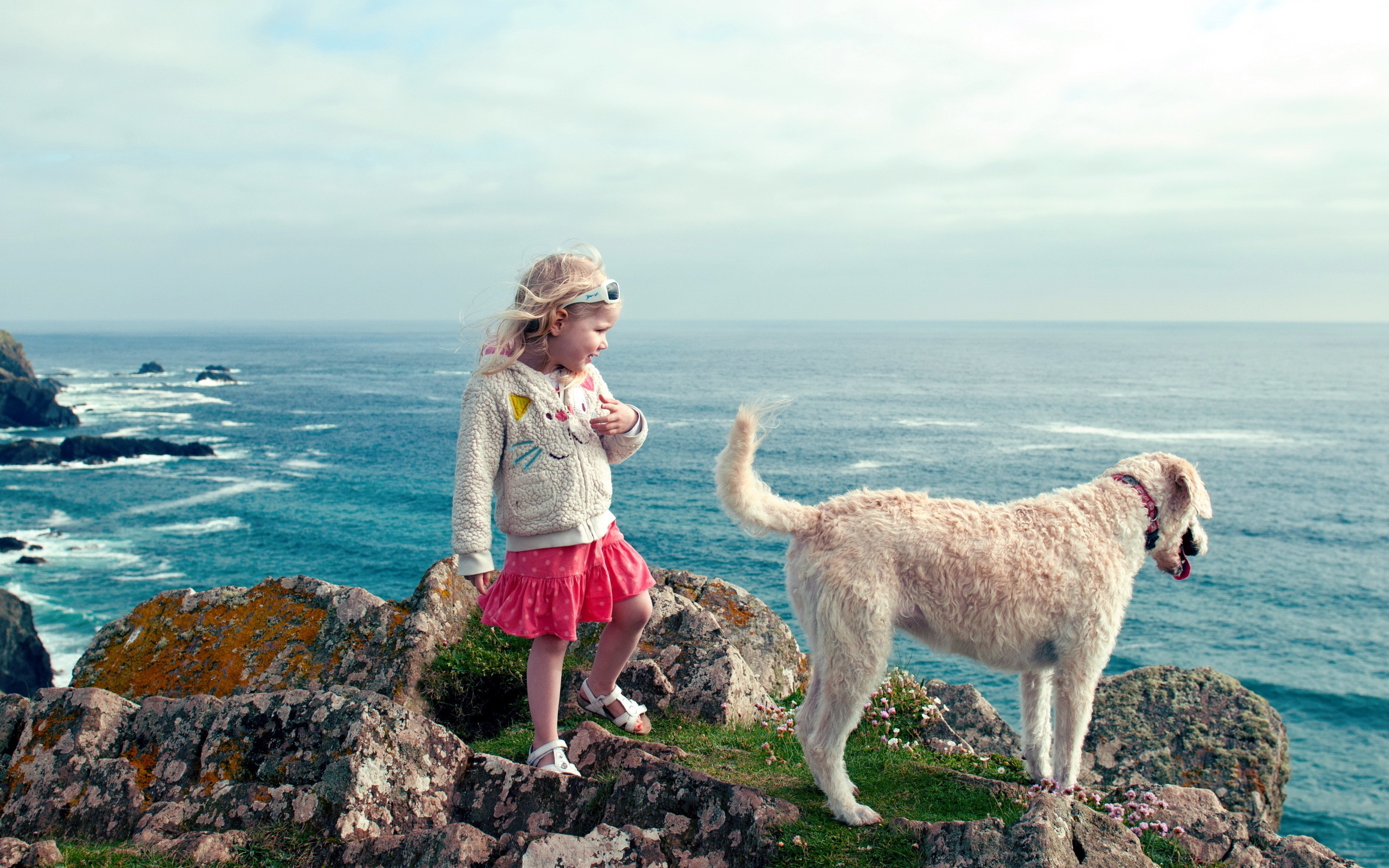 Скачать картинку Собака, Океан, Милый, Ребёнок, Фотографии в телефон бесплатно.