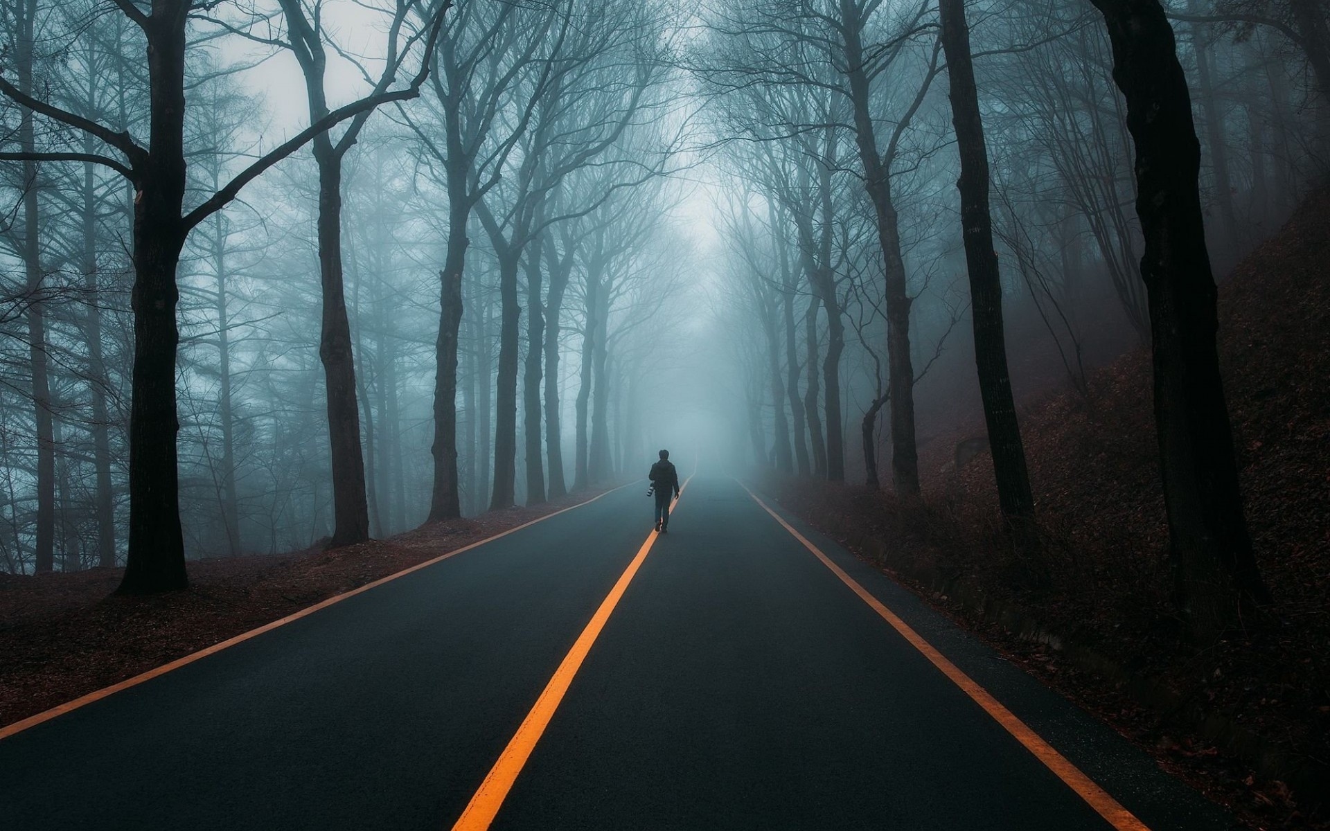 Download mobile wallpaper Nature, Night, Road, Forest, Tree, Fog, Man Made for free.
