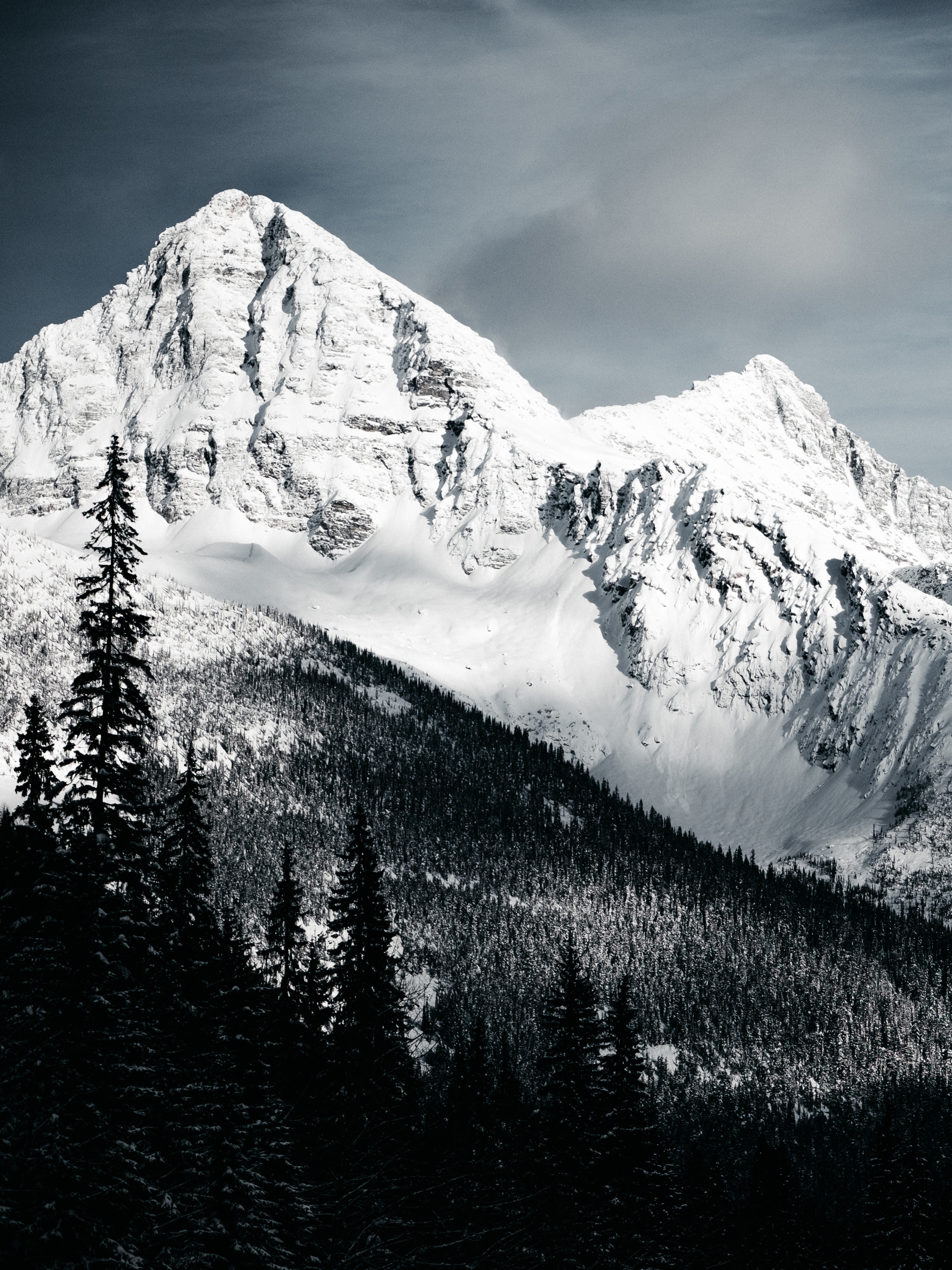 Handy-Wallpaper Natur, Schnee, Gipfel, Wald, Gebirge, Schwarz Weiß, Schwarz Weiss, Berge, Erde/natur kostenlos herunterladen.