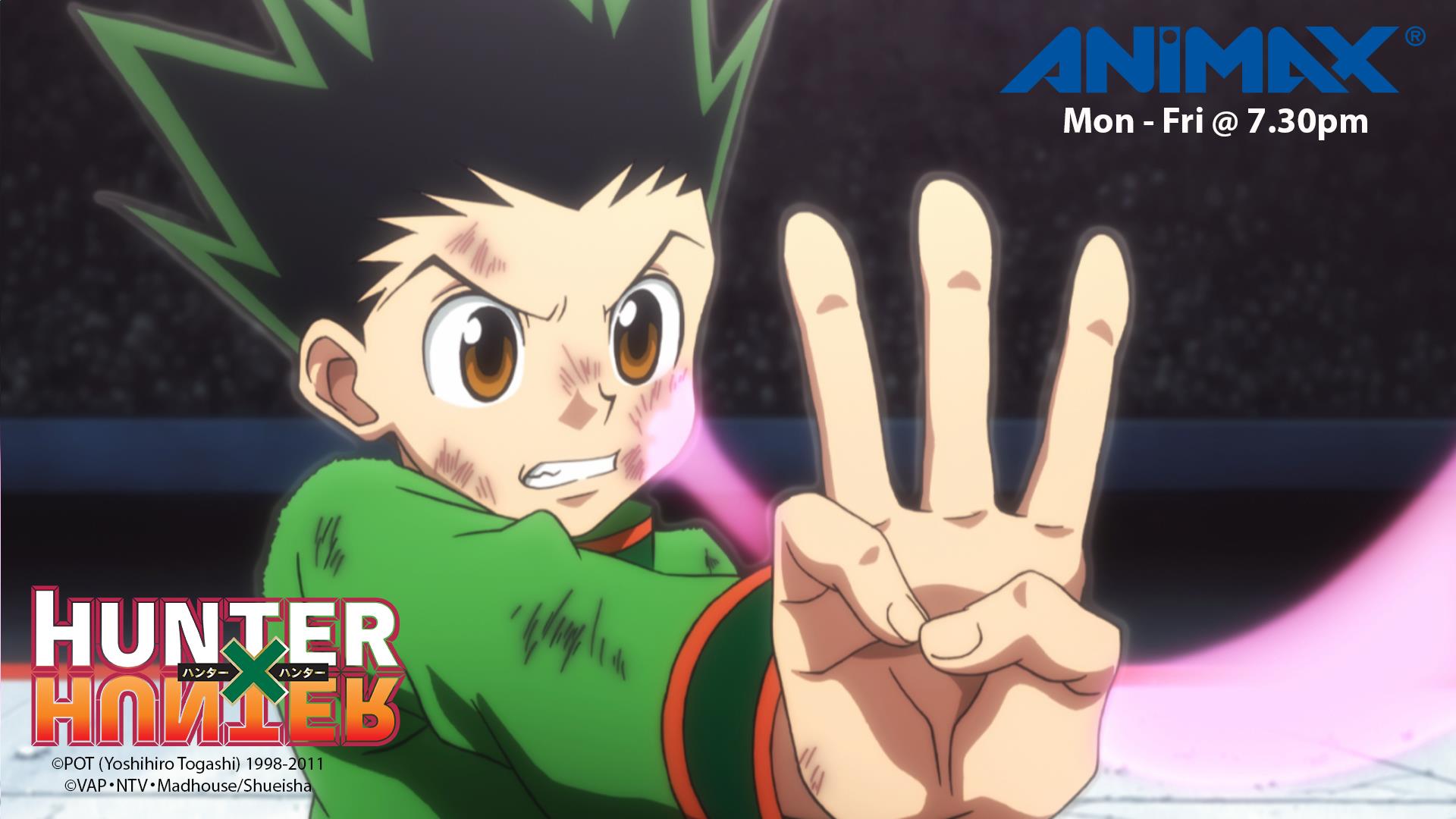 Baixar papel de parede para celular de Anime, Hunter X Hunter gratuito.