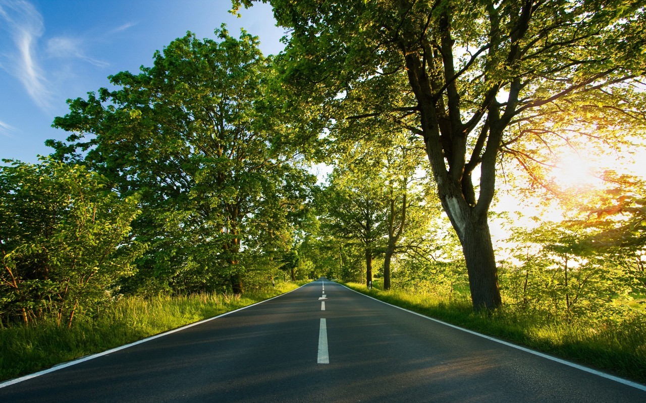 roads, landscape, trees cell phone wallpapers