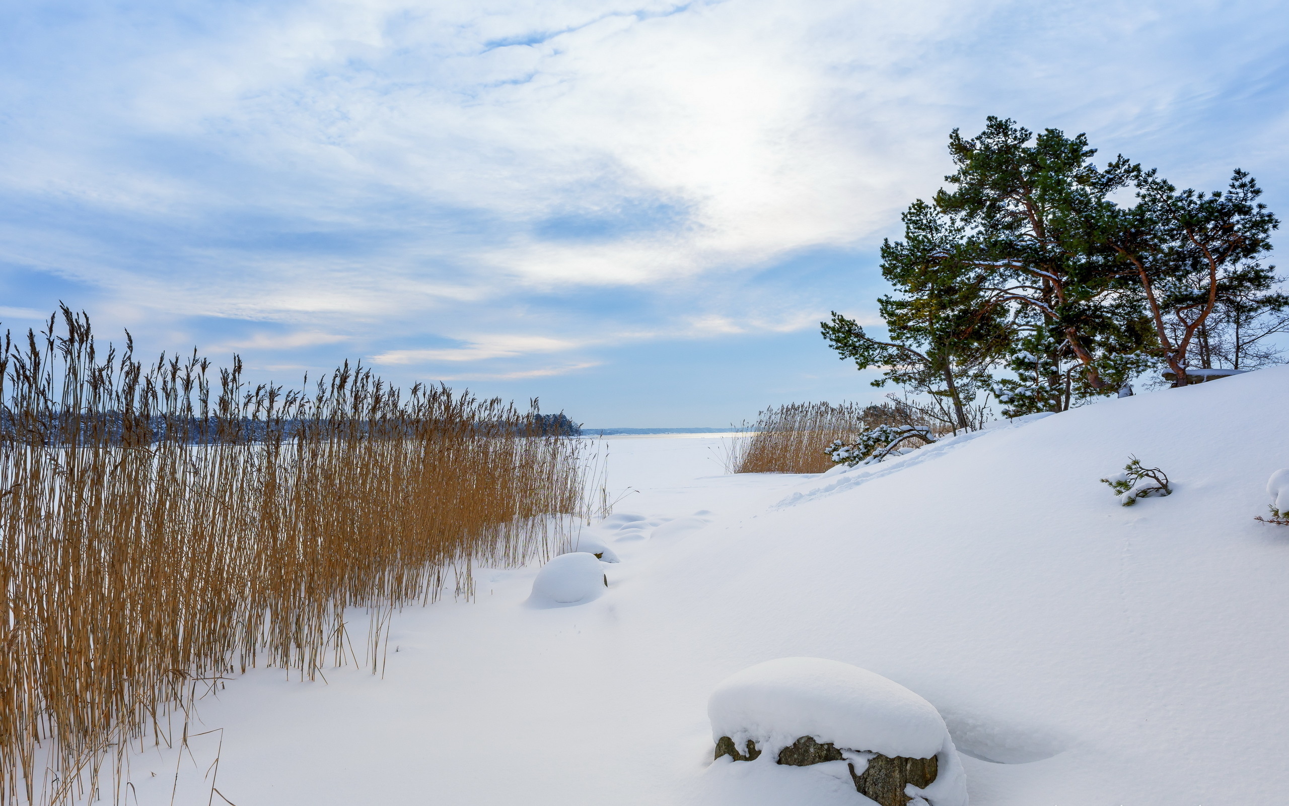 Téléchargez gratuitement l'image Hiver, Terre/nature sur le bureau de votre PC