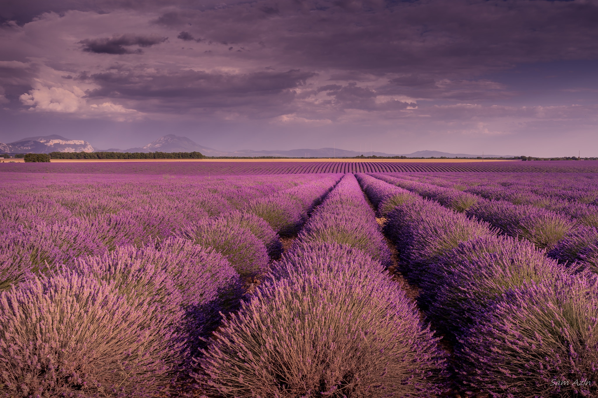 Free download wallpaper Landscape, Nature, Flowers, Summer, Earth, Field, Lavender, Purple Flower on your PC desktop