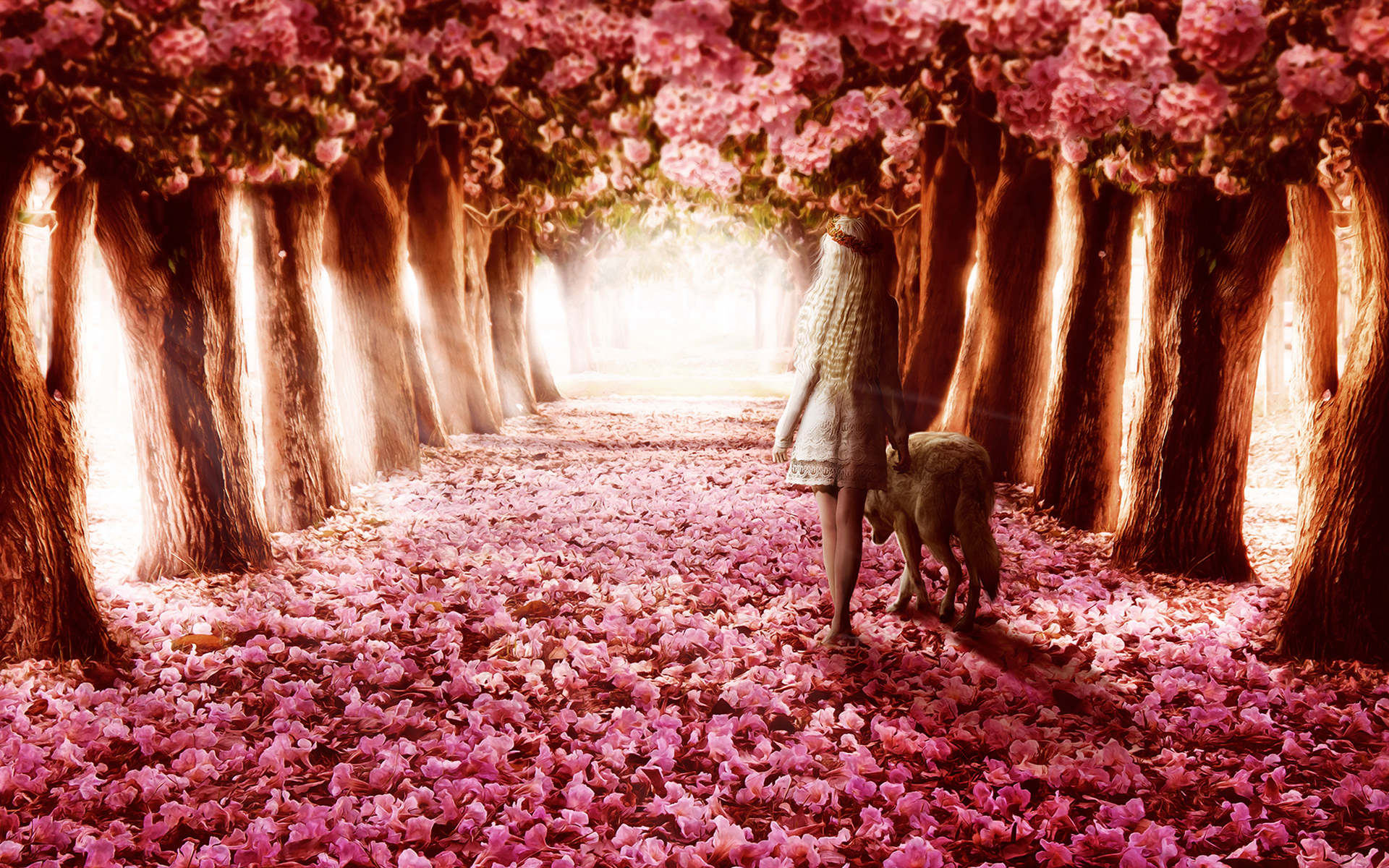 Free download wallpaper Fantasy, Tree, Dog, Path, Artistic, Petal, Blossom on your PC desktop