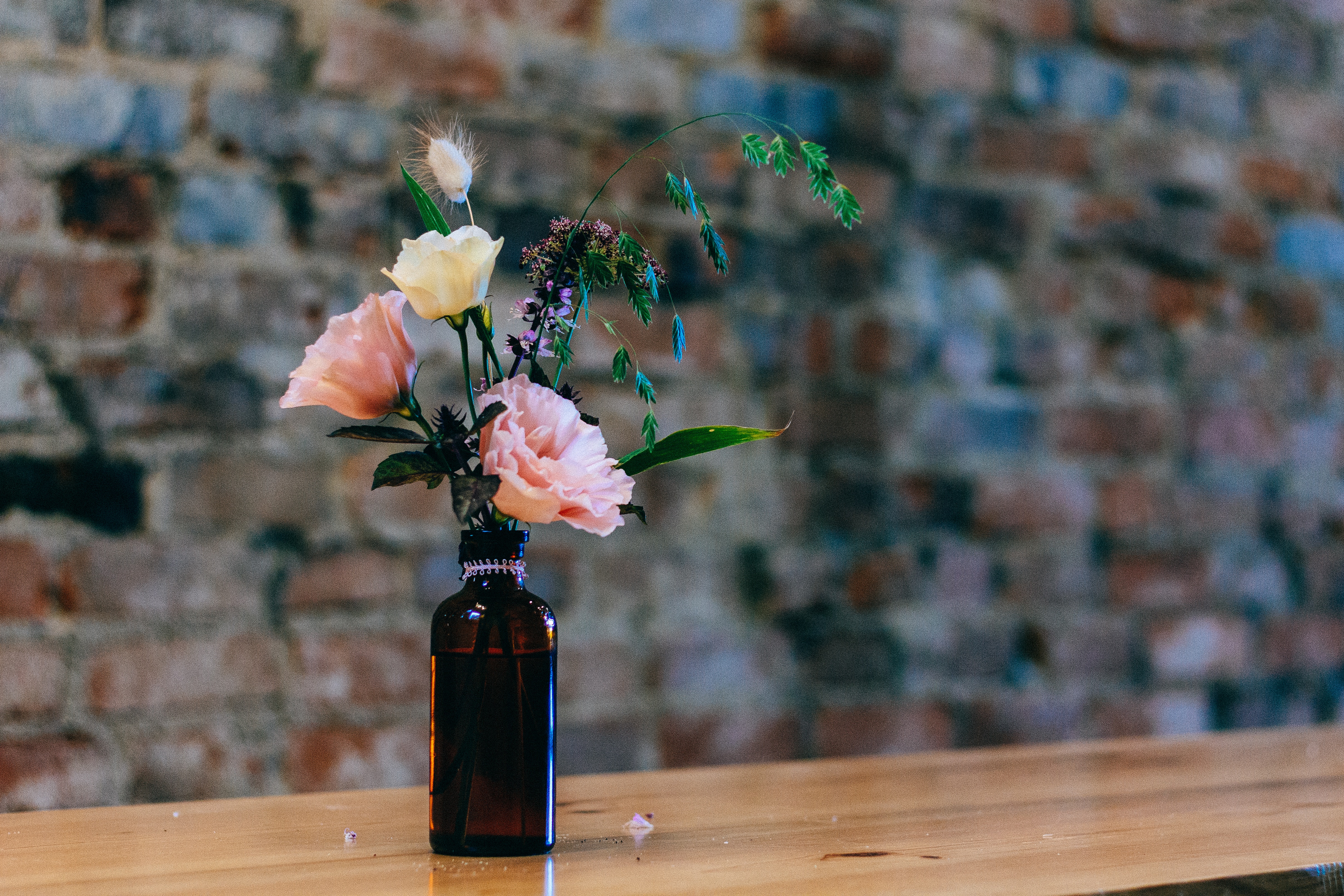 Handy-Wallpaper Flasche, Vase, Blumen kostenlos herunterladen.