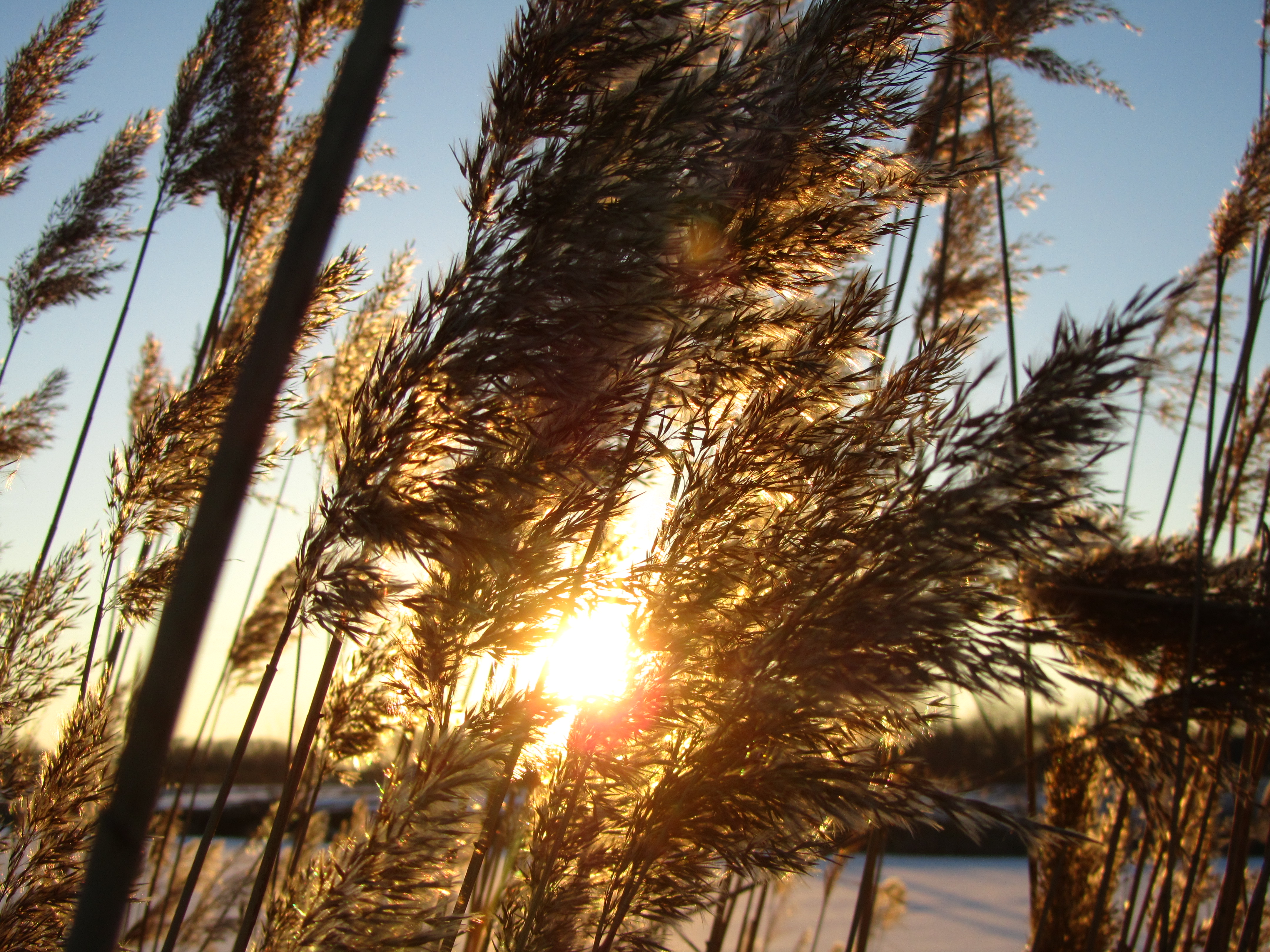 Descarga gratis la imagen Rayo De Sol, Tierra/naturaleza en el escritorio de tu PC