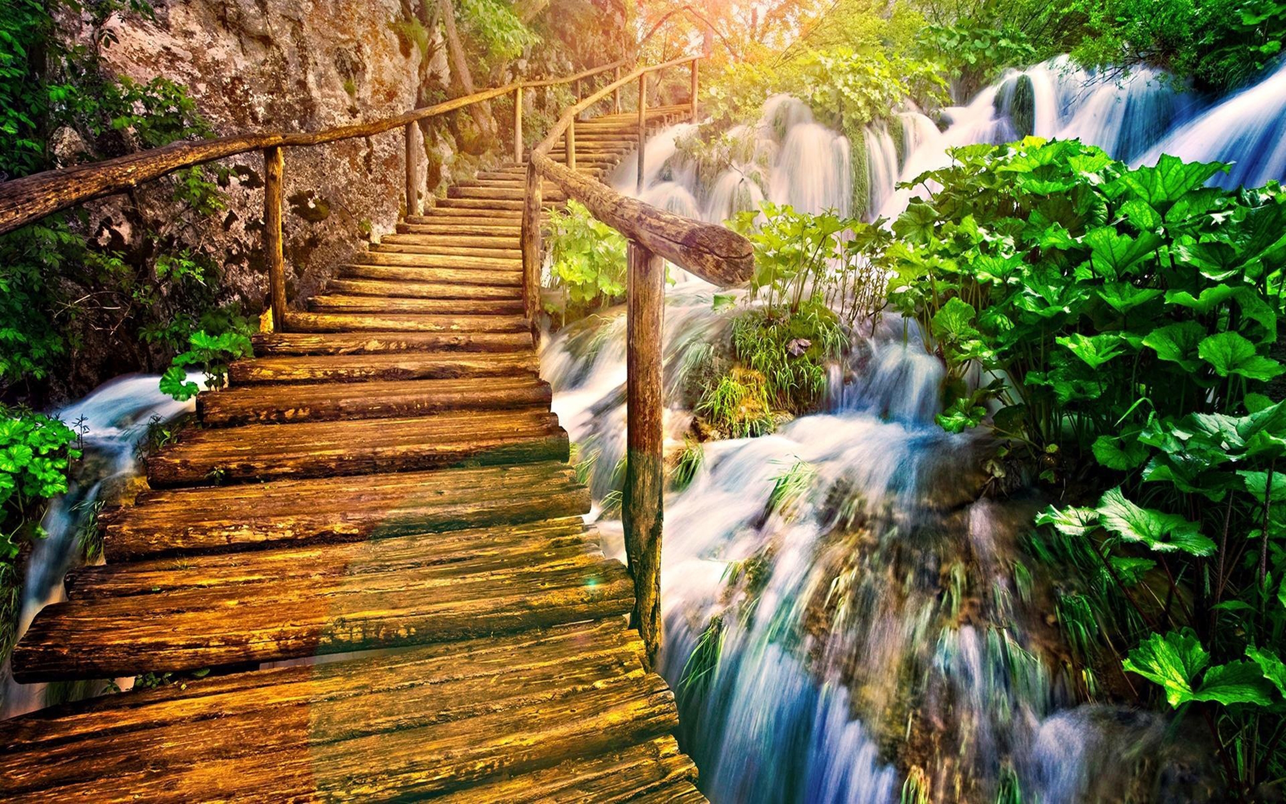 man made, bridge, forest, green, tree, tropical, waterfall, wooden, bridges