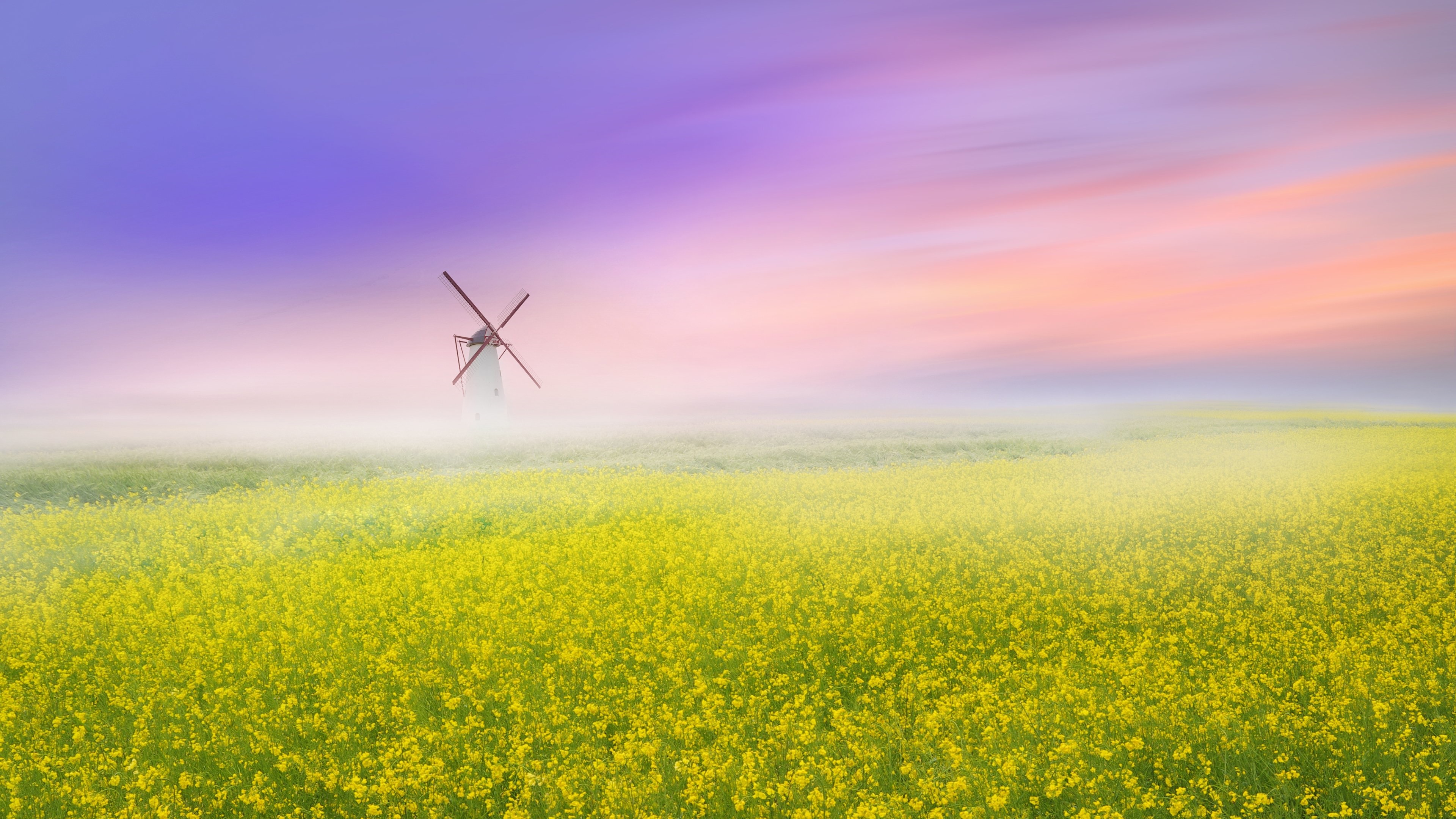 Download mobile wallpaper Flower, Fog, Field, Windmill, Man Made, Rapeseed for free.