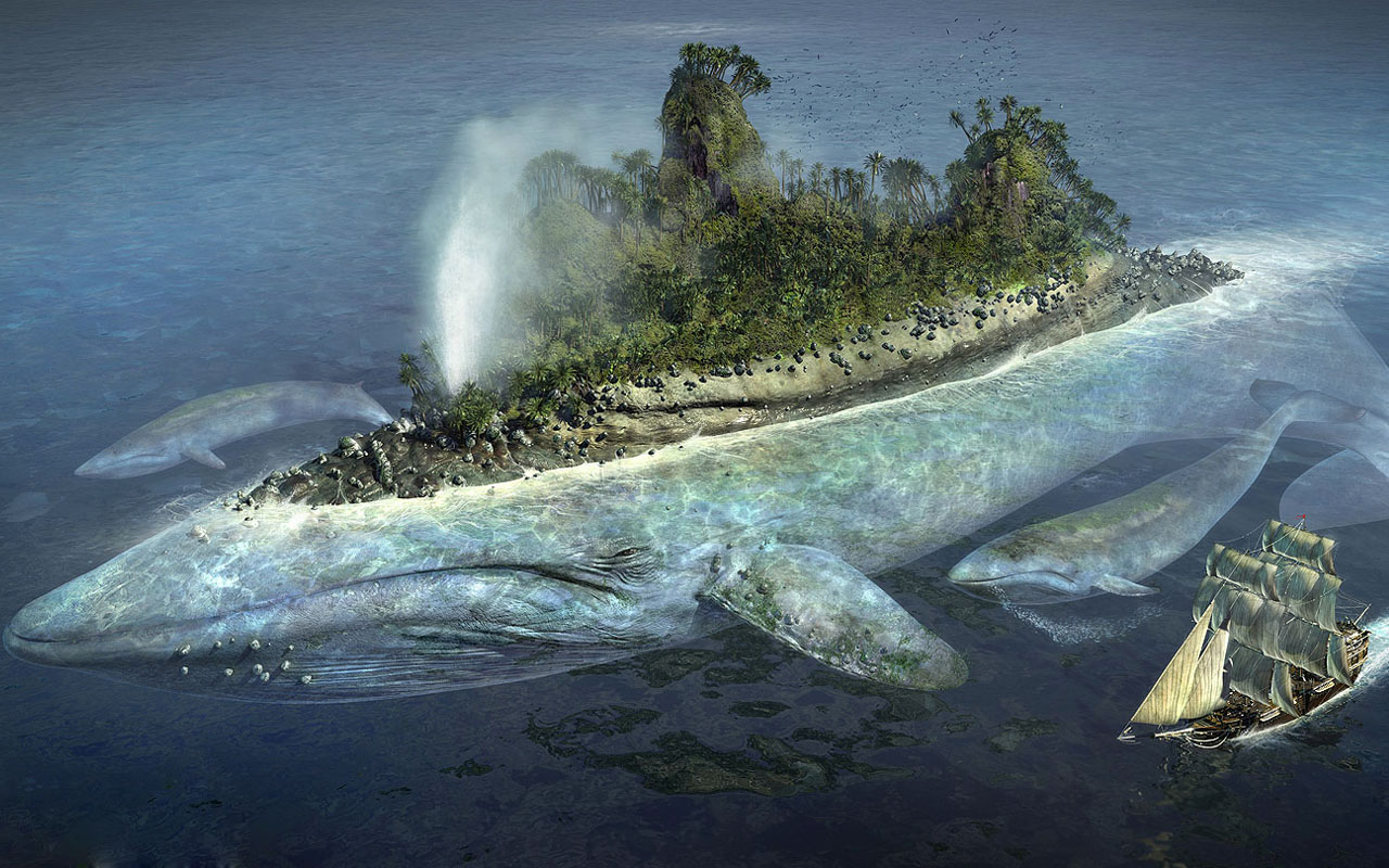 1434503 descargar fondo de pantalla isla, fantasía, ballena, océano: protectores de pantalla e imágenes gratis