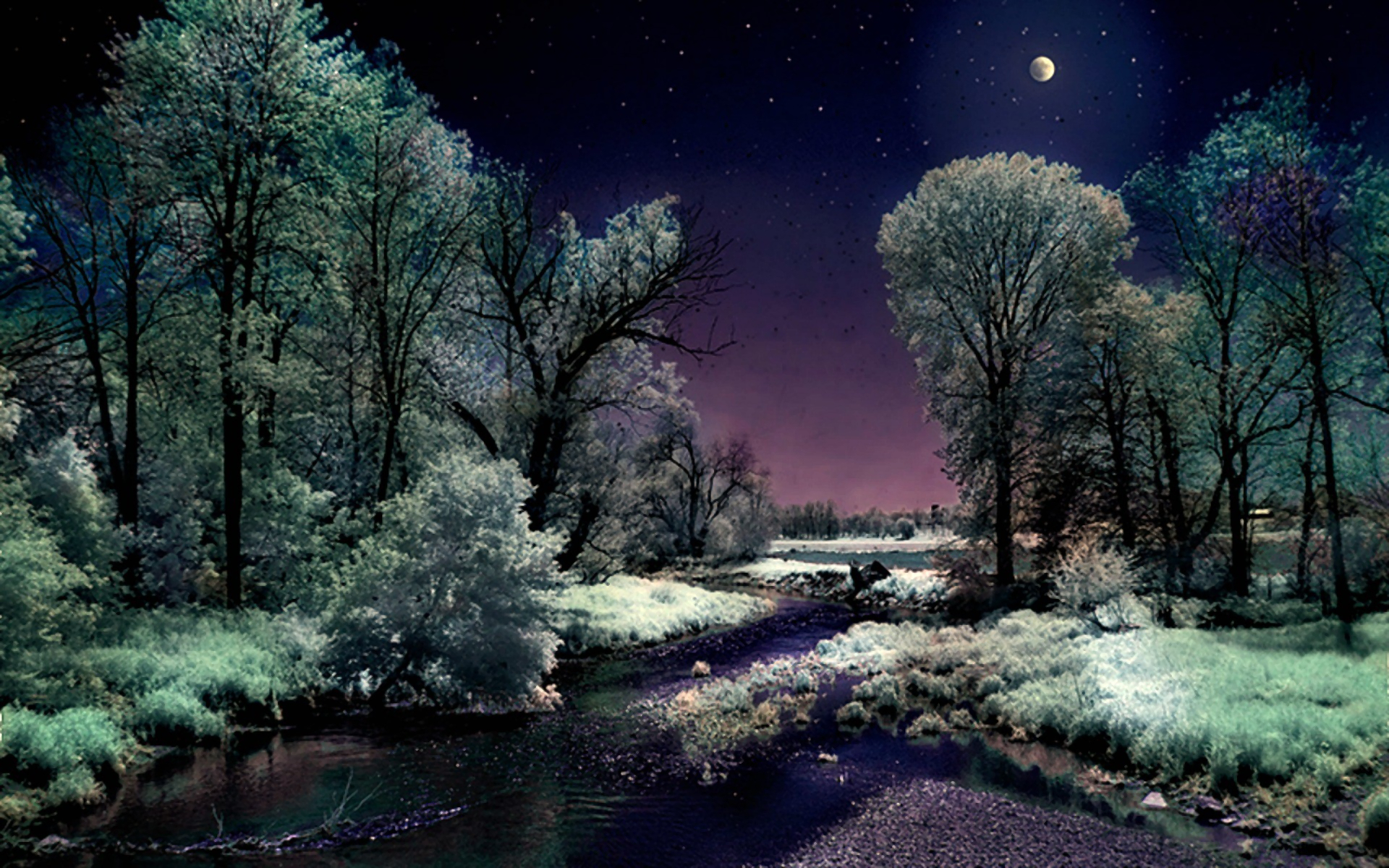 Скачать картинку Зима, Река, Небо, Ночь, Луна, Снег, Дерево, Художественные в телефон бесплатно.