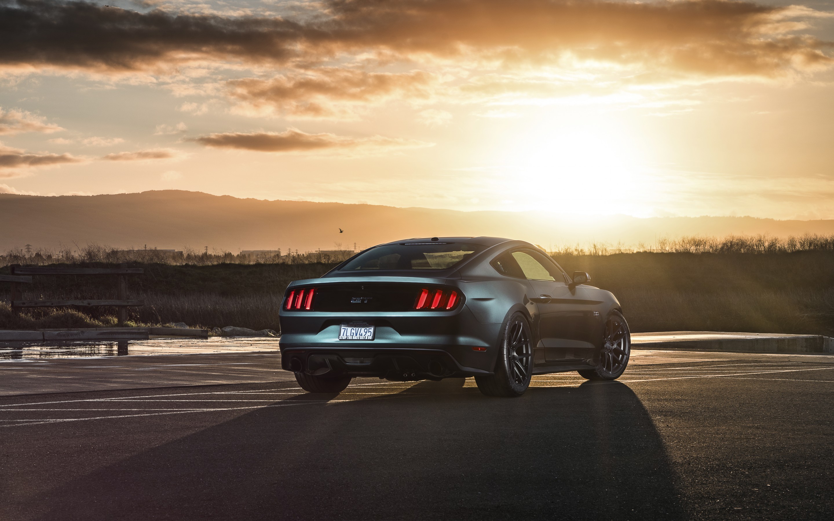 ford mustang, gt, cars, 2015
