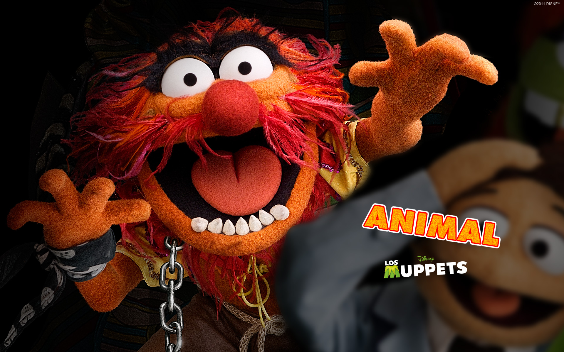 Die besten Die Muppets (Fernsehserie)-Hintergründe für den Telefonbildschirm