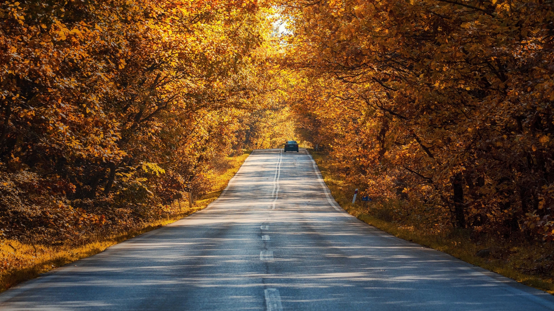 Handy-Wallpaper Natur, Herbst, Straße, Wald, Autos, Fotografie kostenlos herunterladen.