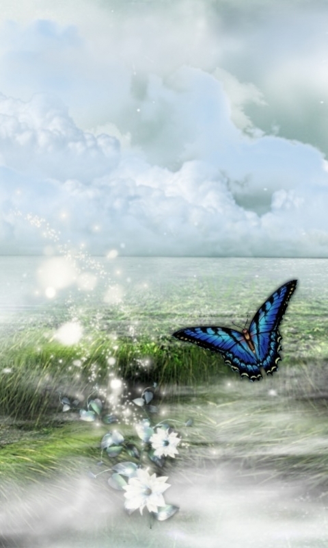 無料モバイル壁紙自然, 蝶, 水, 青い, 芸術的をダウンロードします。