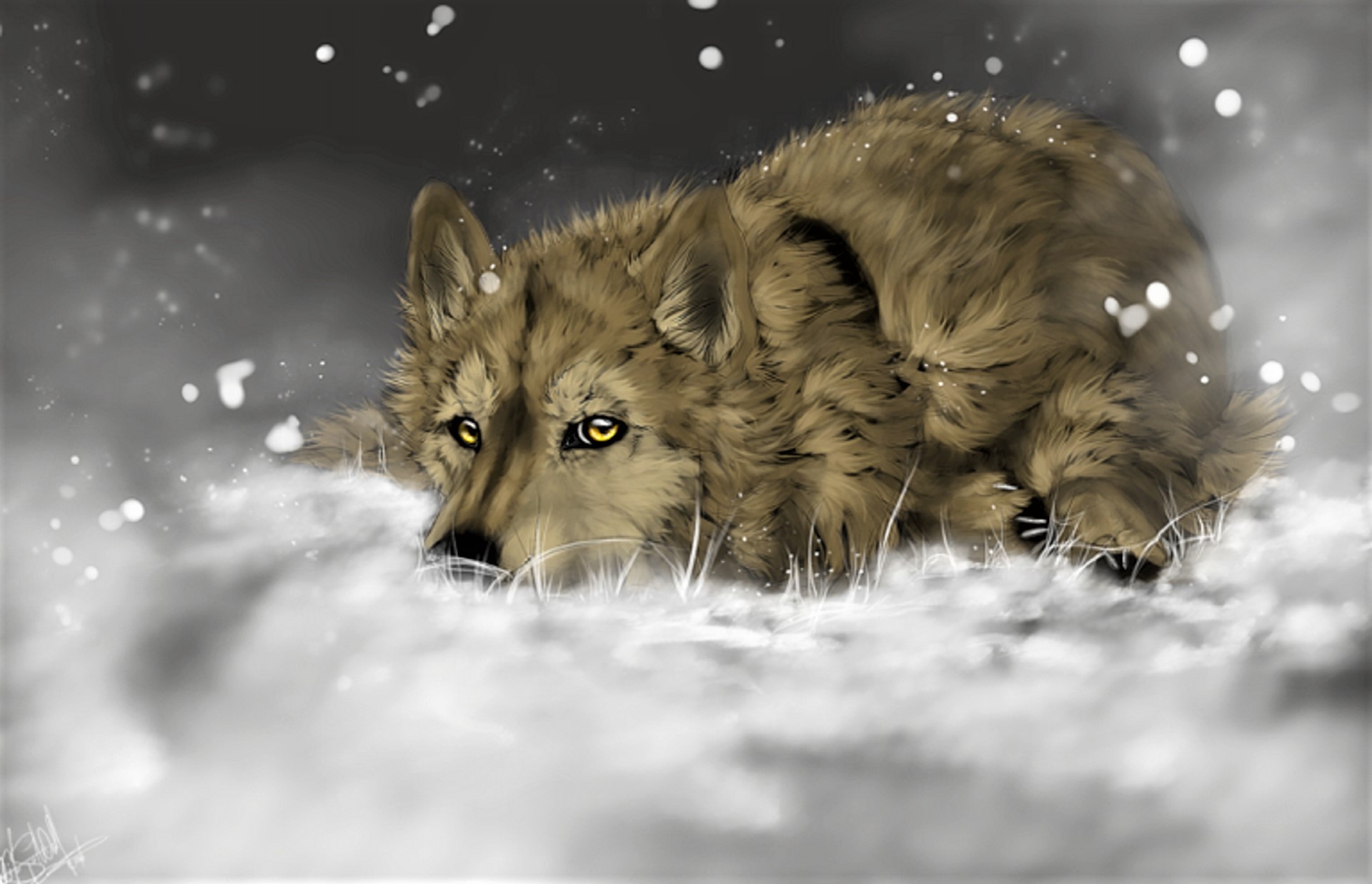 Laden Sie das Tiere, Schnee, Wolf, Malerei, Künstlerisch-Bild kostenlos auf Ihren PC-Desktop herunter
