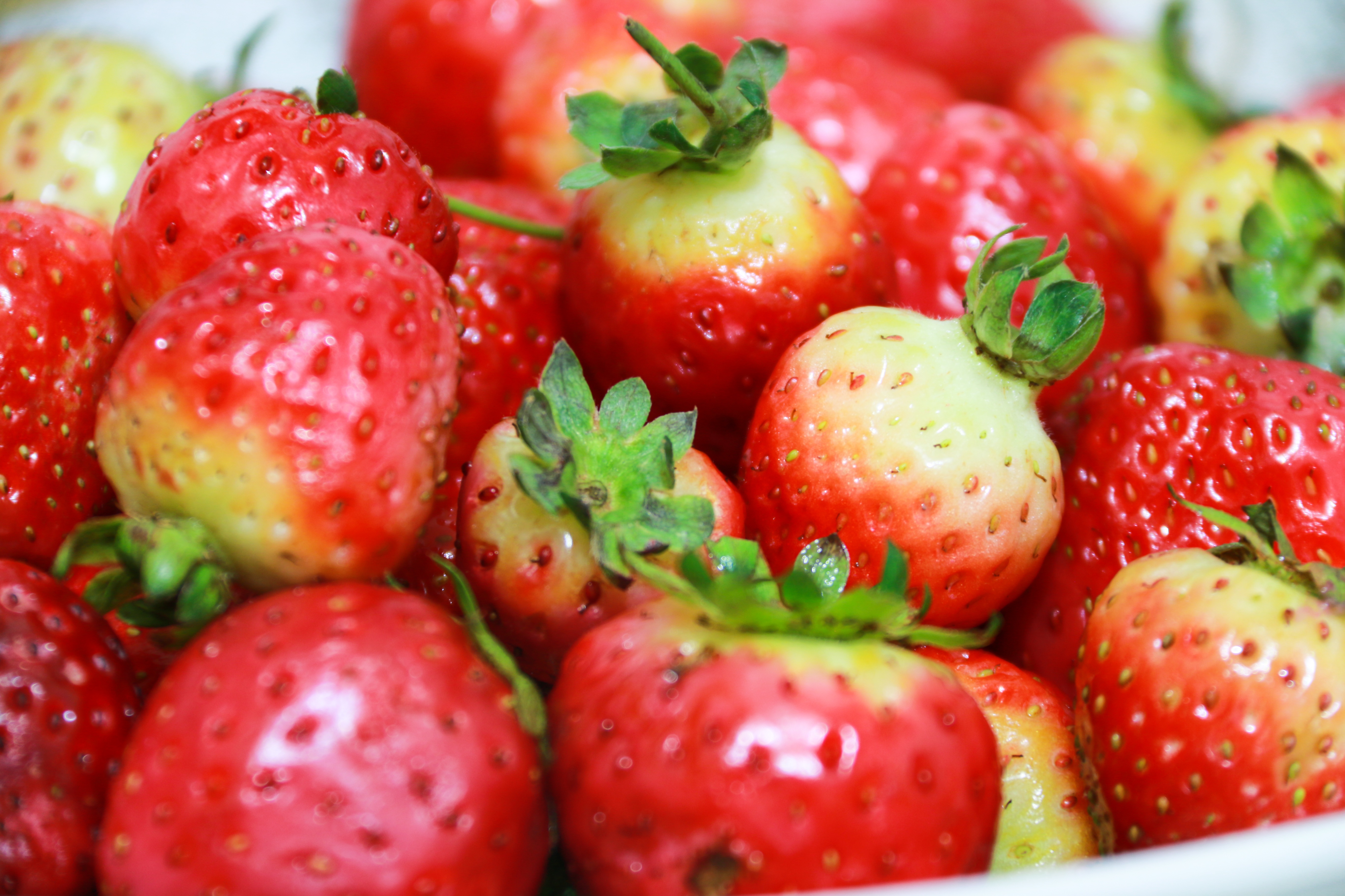 food, strawberry, berries, vitamins