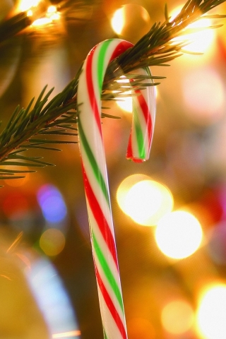 Download mobile wallpaper Christmas, Holiday, Christmas Ornaments, Candy Cane for free.