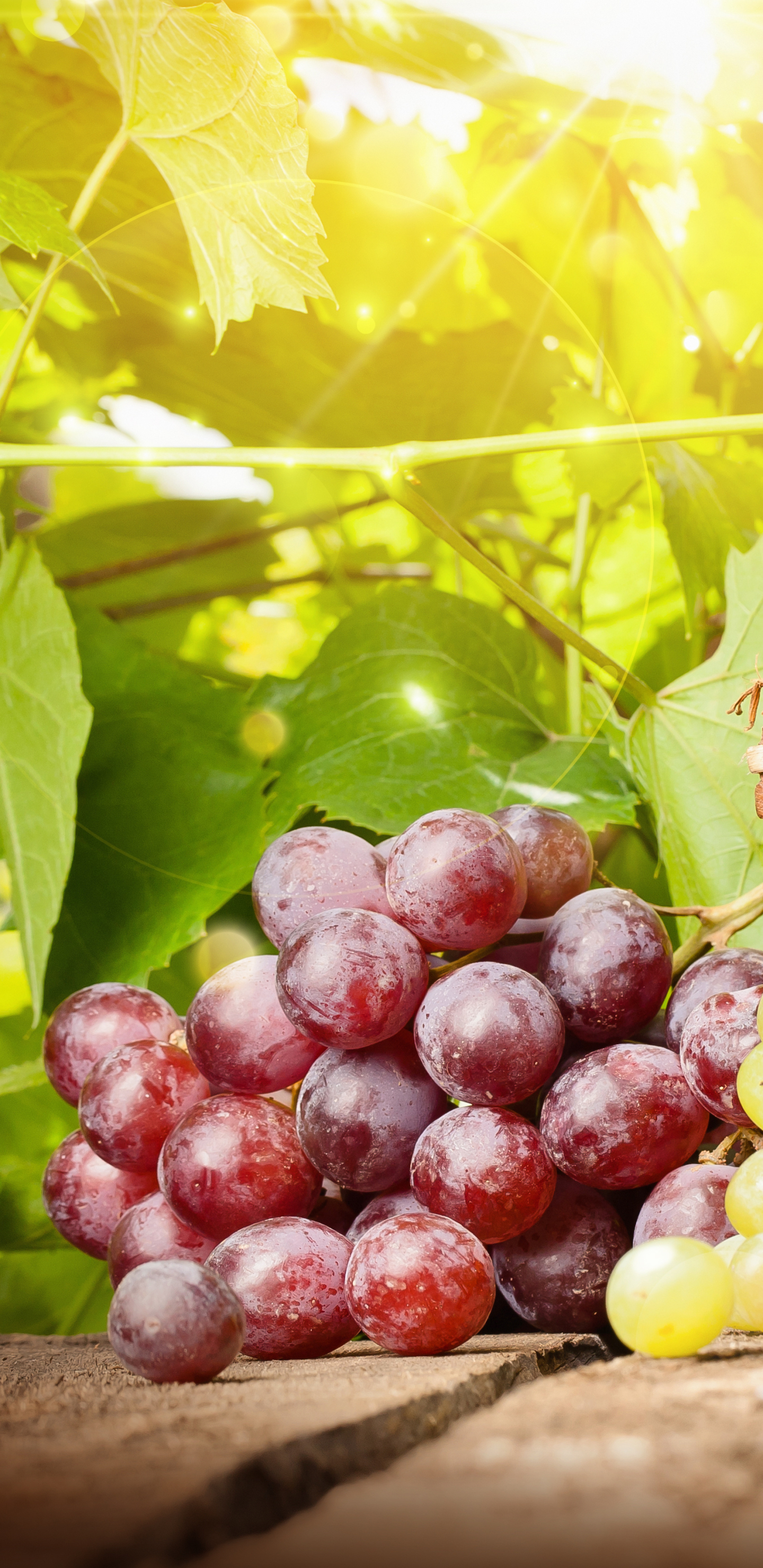 Free download wallpaper Fruits, Food, Grapes, Fruit, Basket on your PC desktop