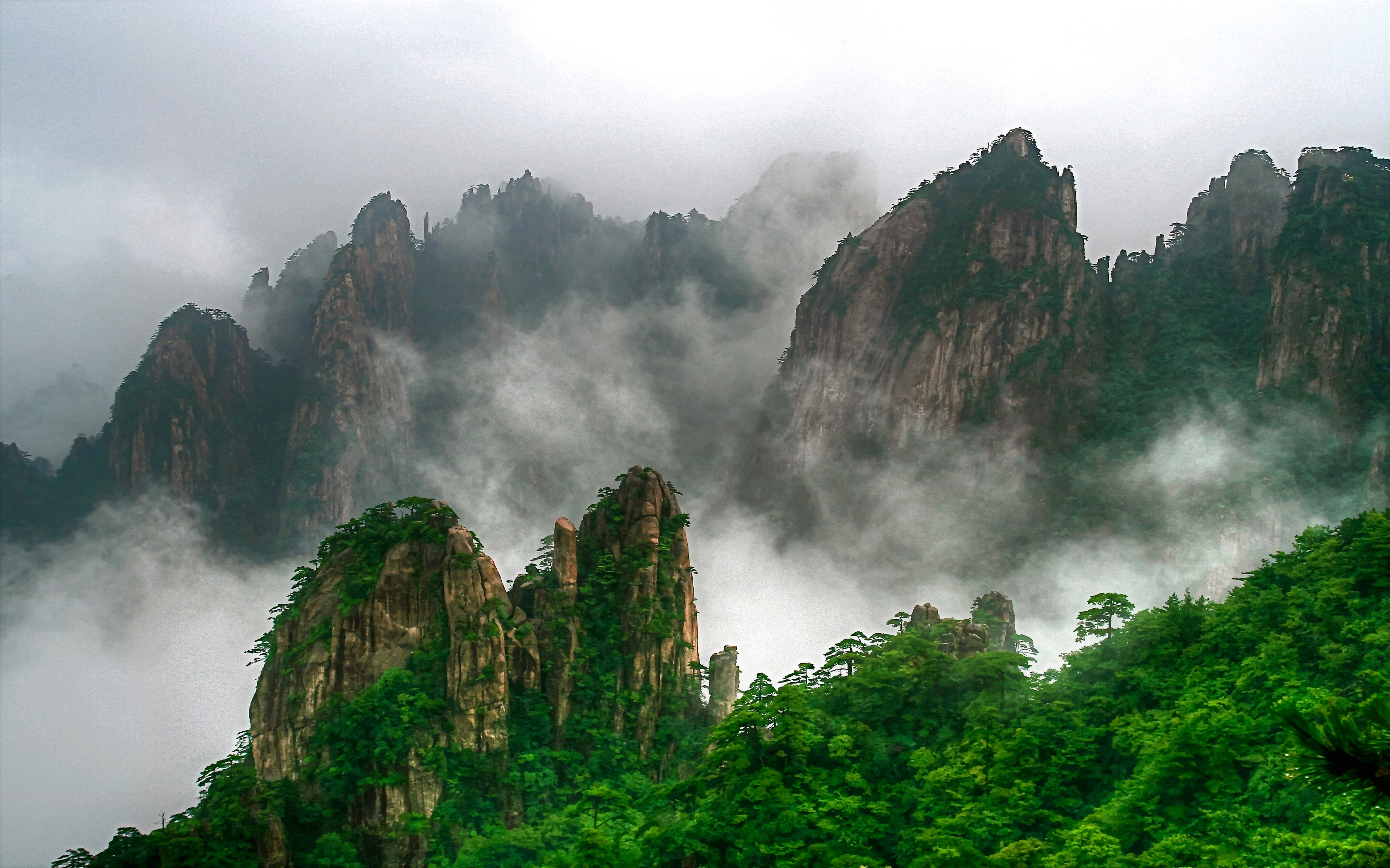 無料モバイル壁紙木, 山, 霧, 地球, 中国, 山岳をダウンロードします。