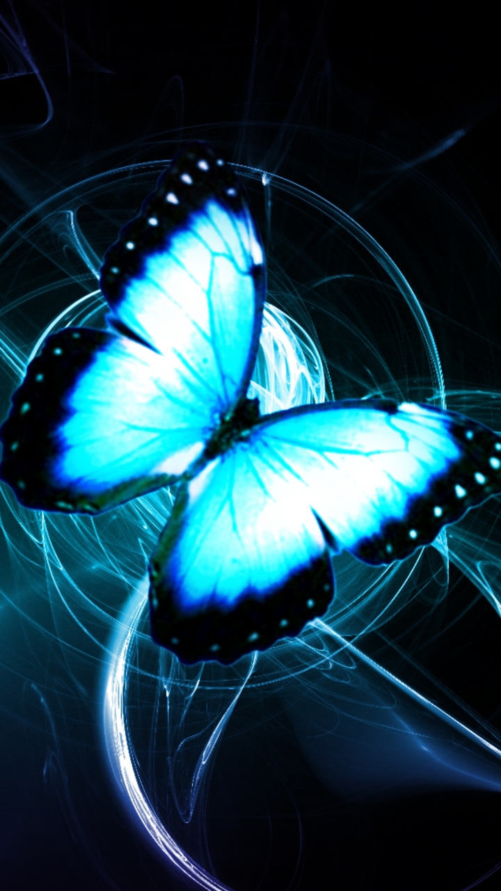 Download mobile wallpaper Butterfly, Animal for free.