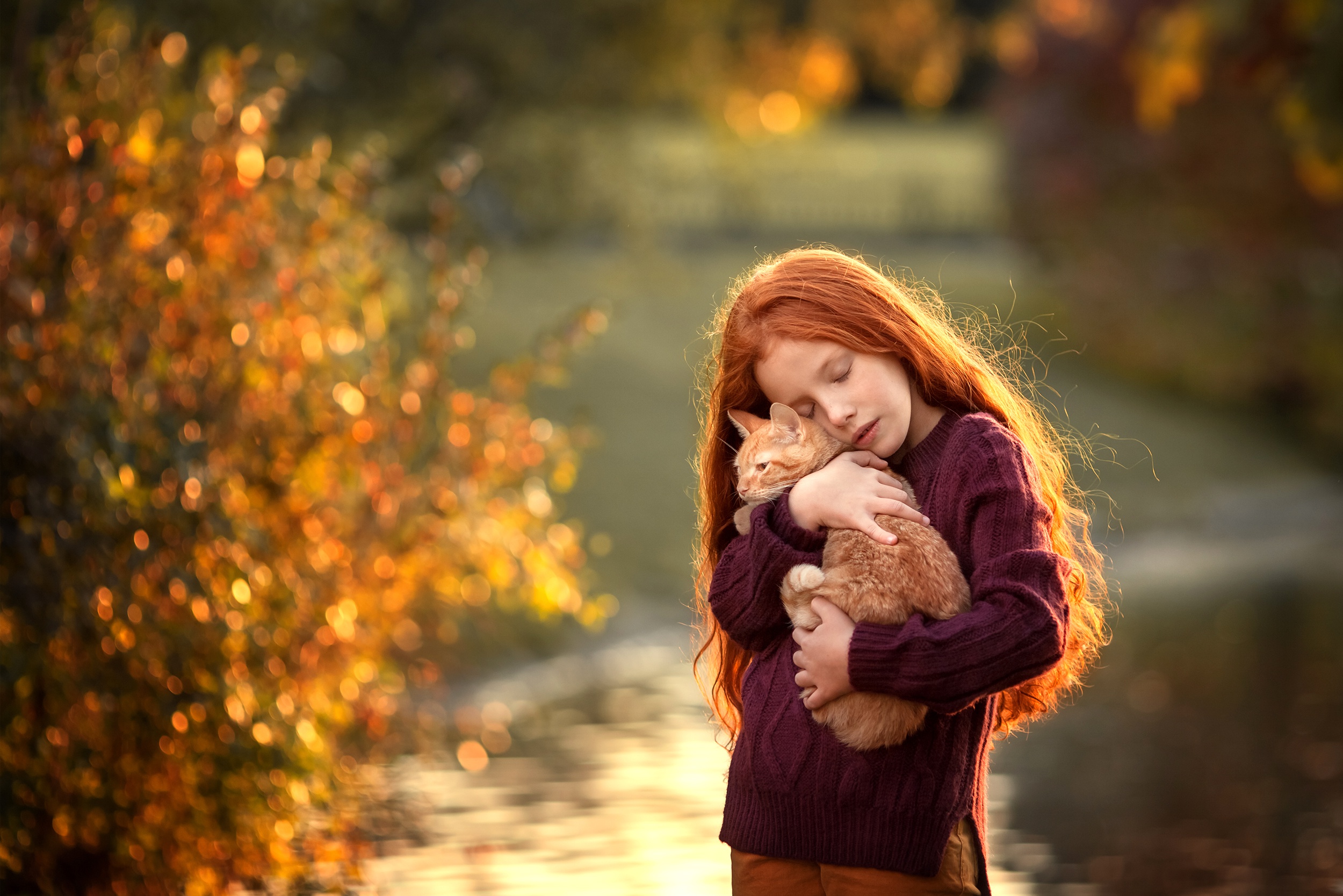 Download mobile wallpaper Cat, Redhead, Child, Photography, Long Hair, Little Girl, Depth Of Field for free.