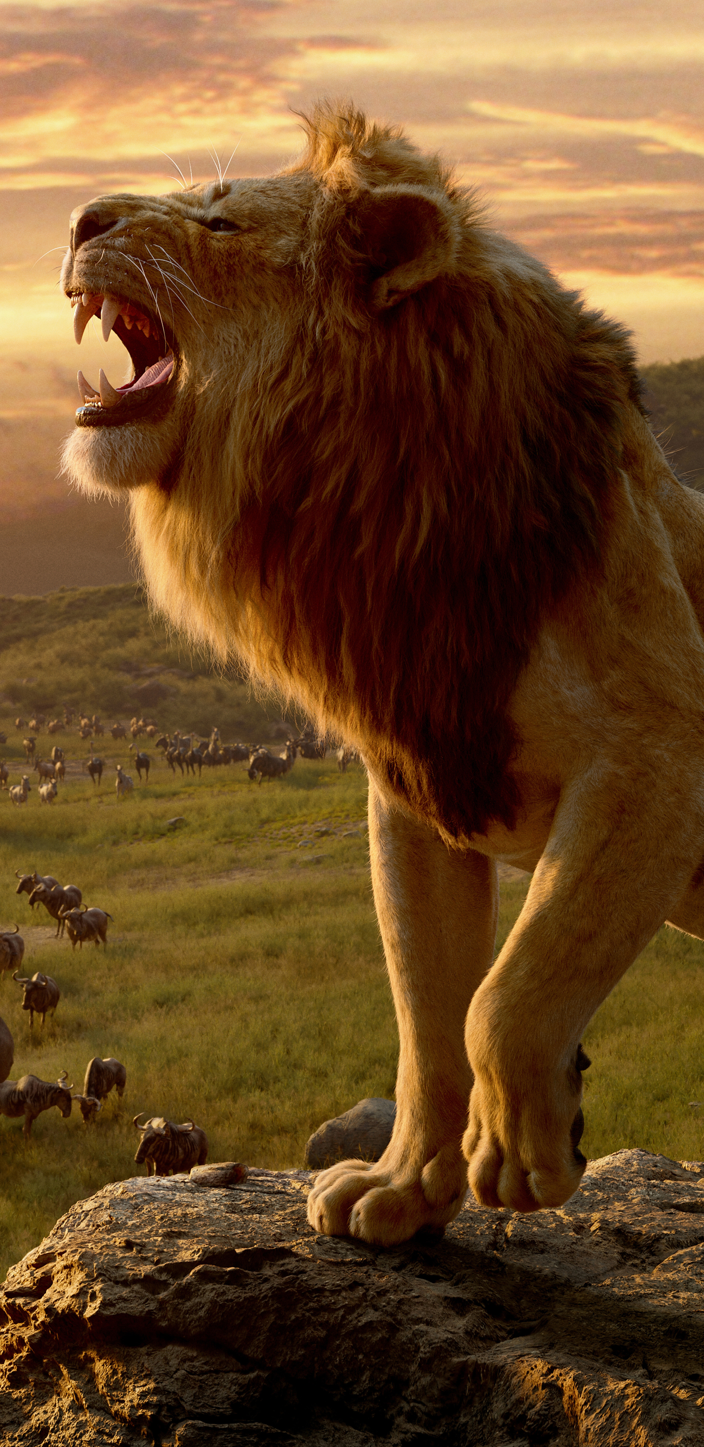 lion, movie, the lion king (2019), mufasa (the lion king)