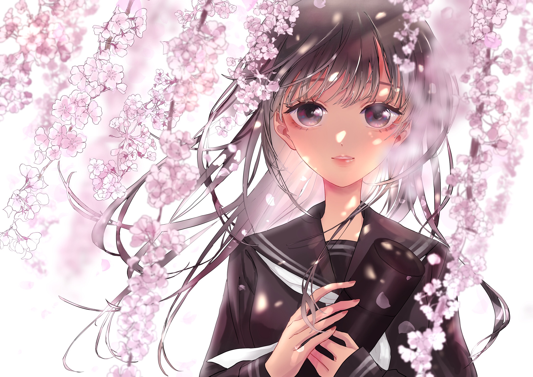 PCデスクトップに桜の花, 黒髪, 長い髪, アニメ, オリジナル画像を無料でダウンロード