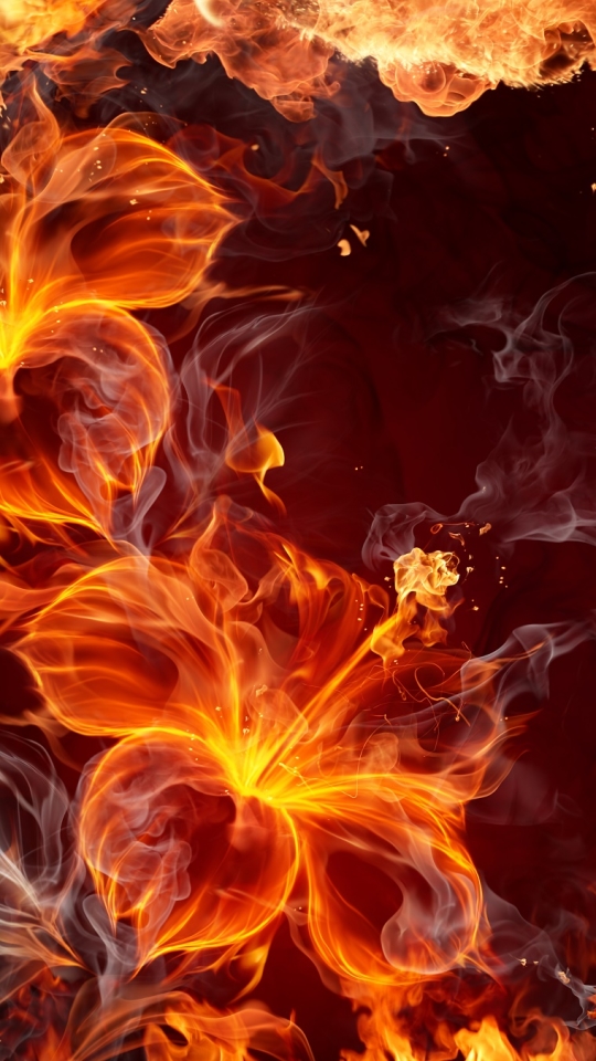 Download mobile wallpaper Flowers, Fire, Flower, Flame, Artistic for free.