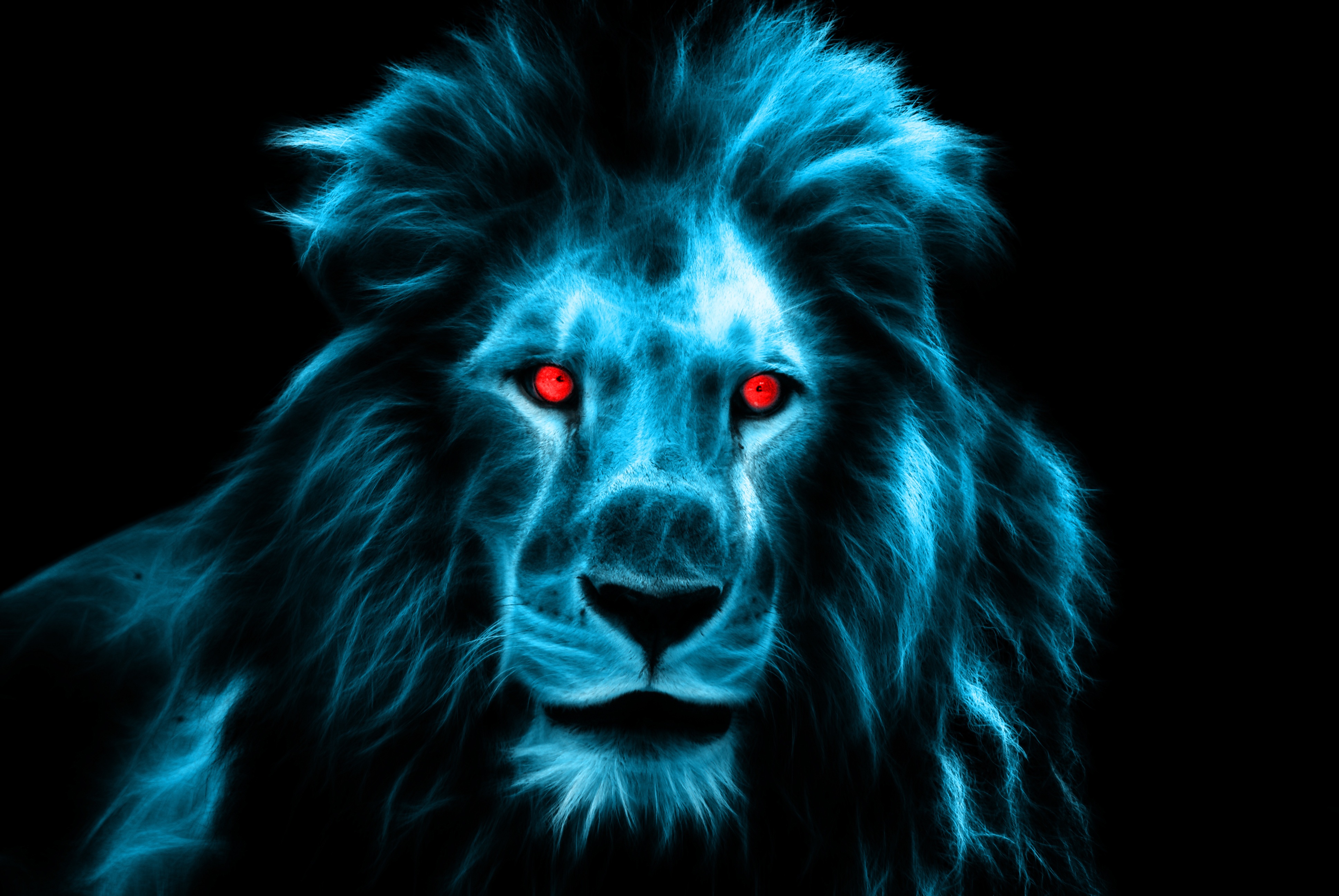 lion, mane, eyes, animals, predator, big cat
