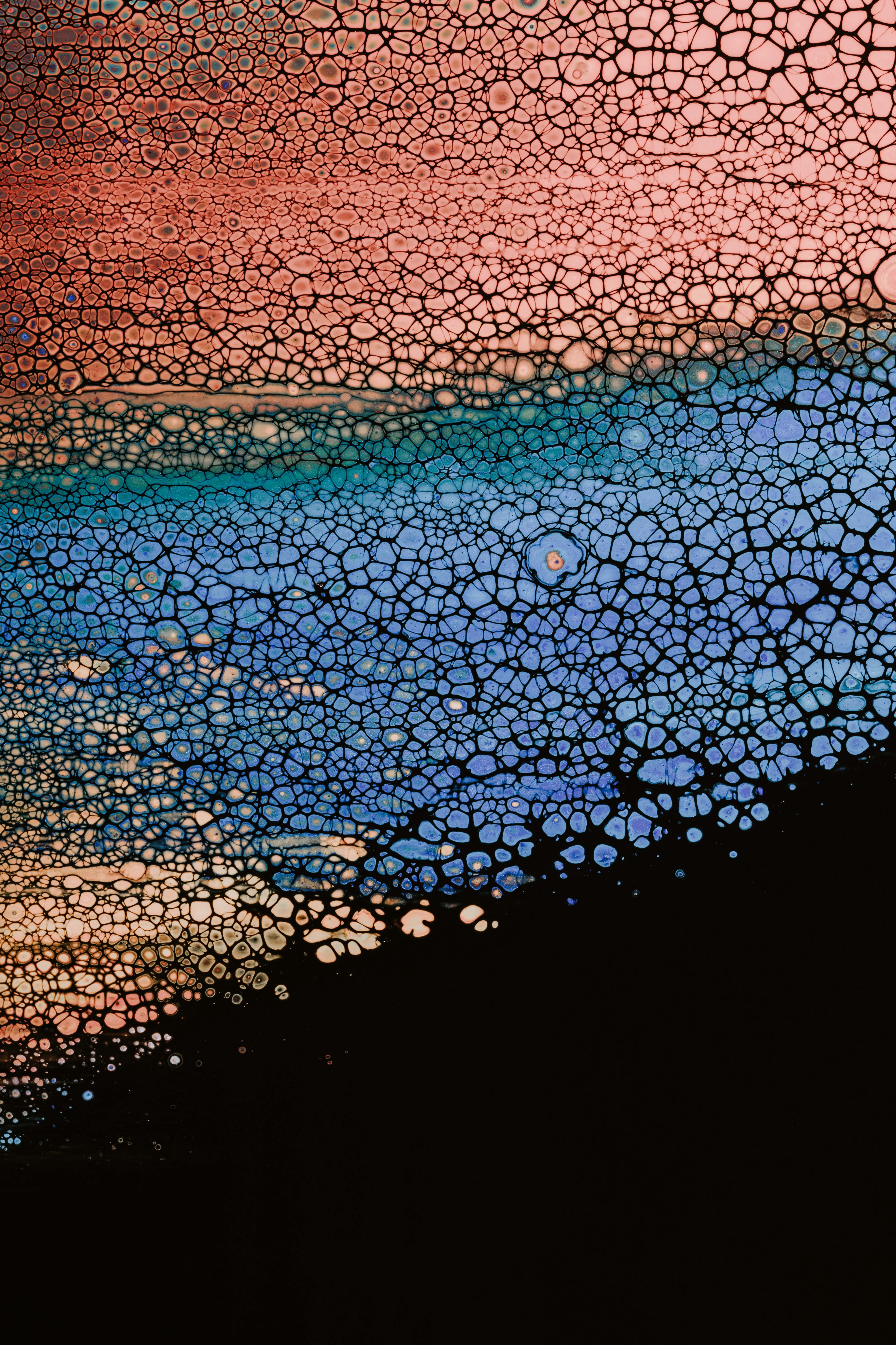 Free download wallpaper Abstract, Multicolored, Motley, Texture, Divorces, Bubbles, Liquid on your PC desktop