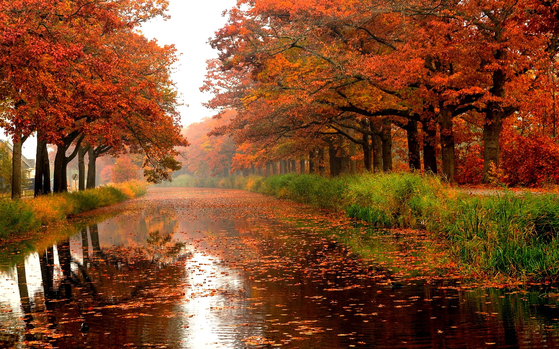 Скачать обои бесплатно Река, Осень, Листва, Земля/природа картинка на рабочий стол ПК
