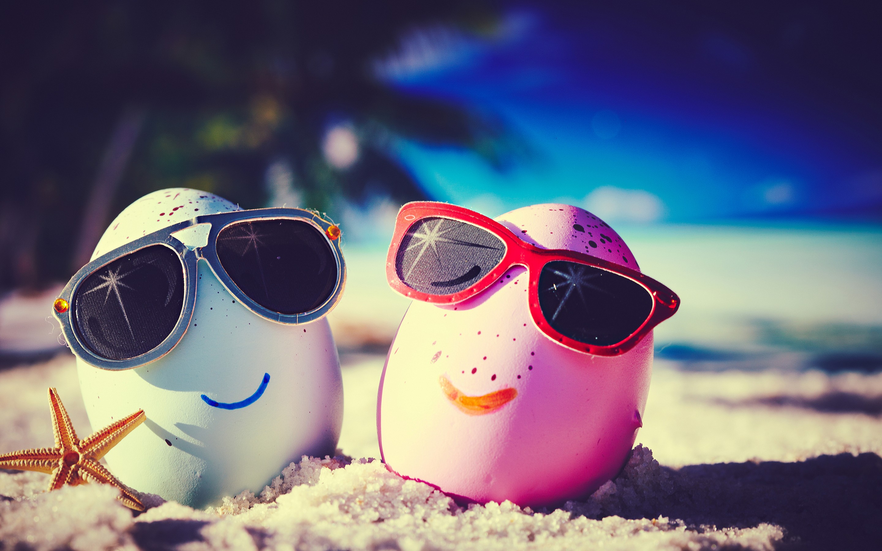 Free download wallpaper Beach, Summer, Egg, Sunglasses, Humor on your PC desktop