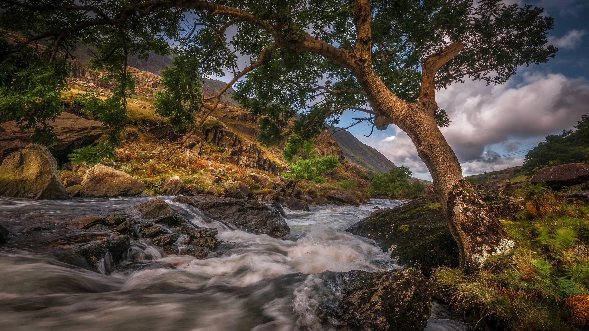 Free download wallpaper Nature, Tree, Earth, River on your PC desktop