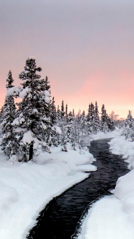 無料モバイル壁紙風景, 冬, 自然, 雪, 森, 地球, ストリームをダウンロードします。