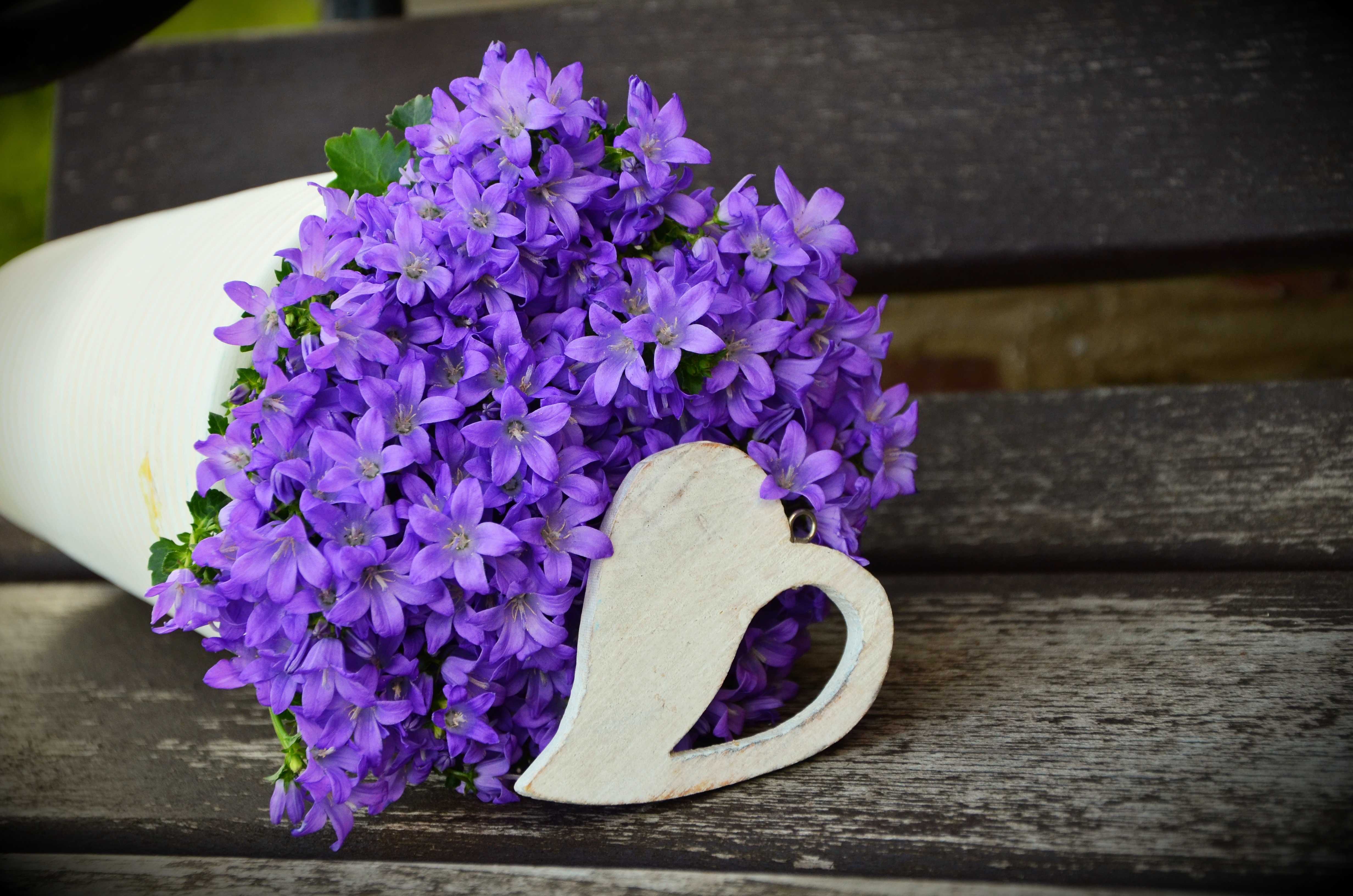 Download mobile wallpaper Bouquet, Flowers, Violet, Purple for free.