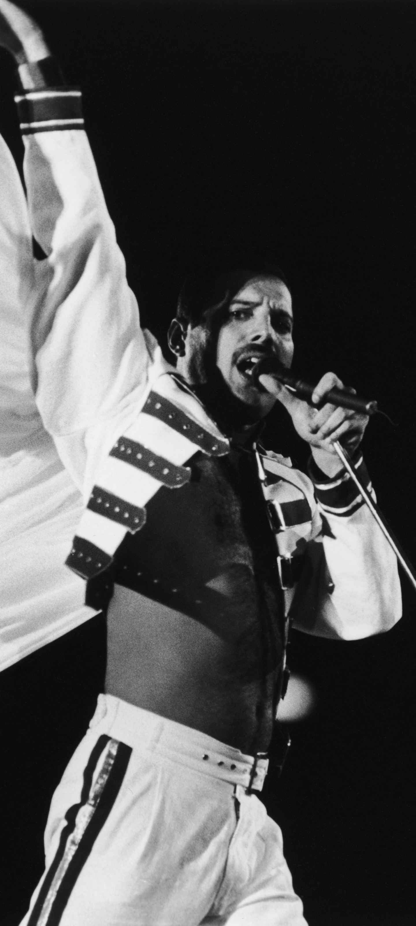 Descarga gratuita de fondo de pantalla para móvil de Música, Reina (Banda), Freddie Mercury.