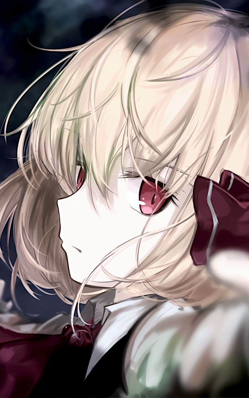 Descarga gratuita de fondo de pantalla para móvil de Animado, Touhou, Rumia (Touhou).