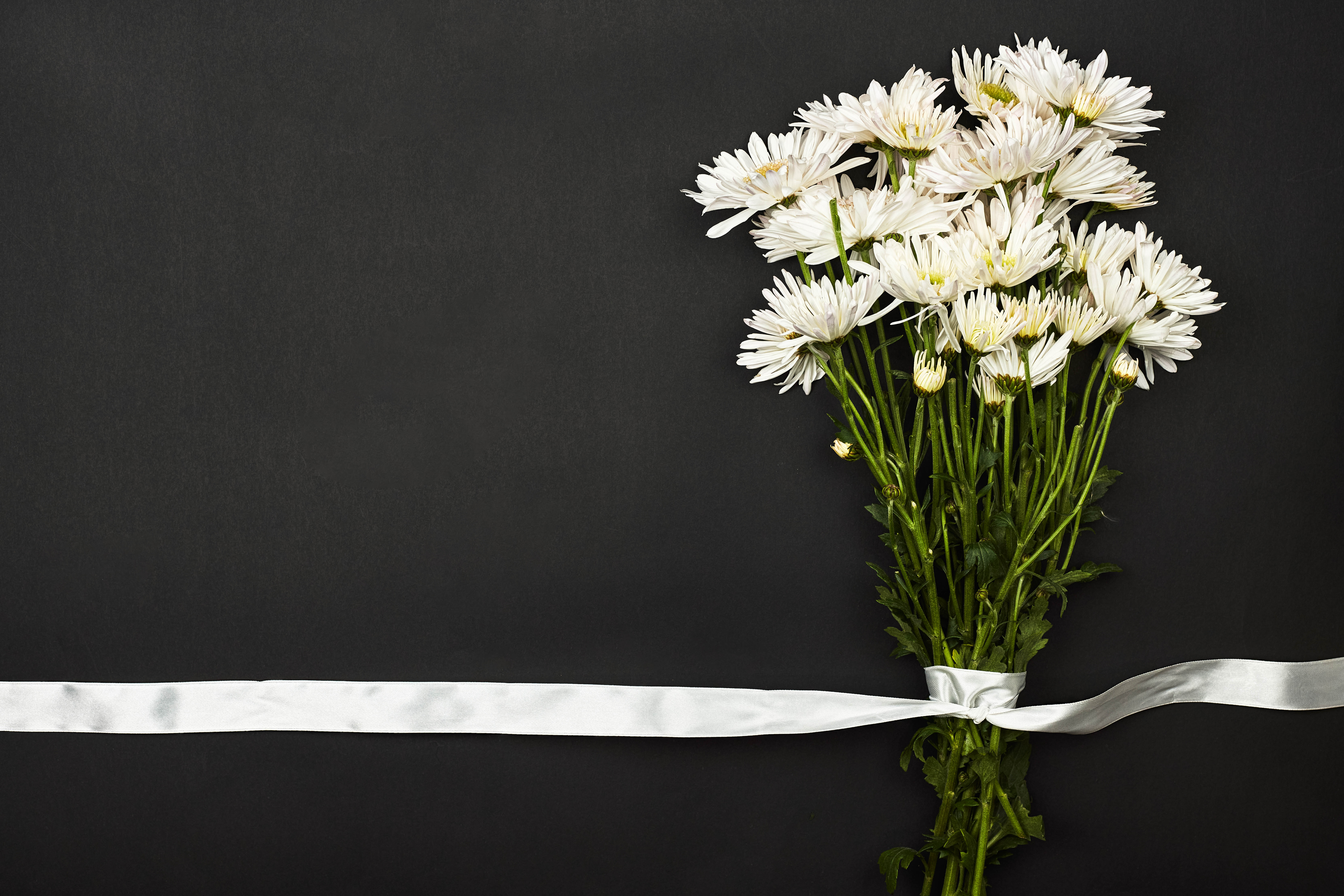 bouquet, flowers, white, tape Aesthetic wallpaper