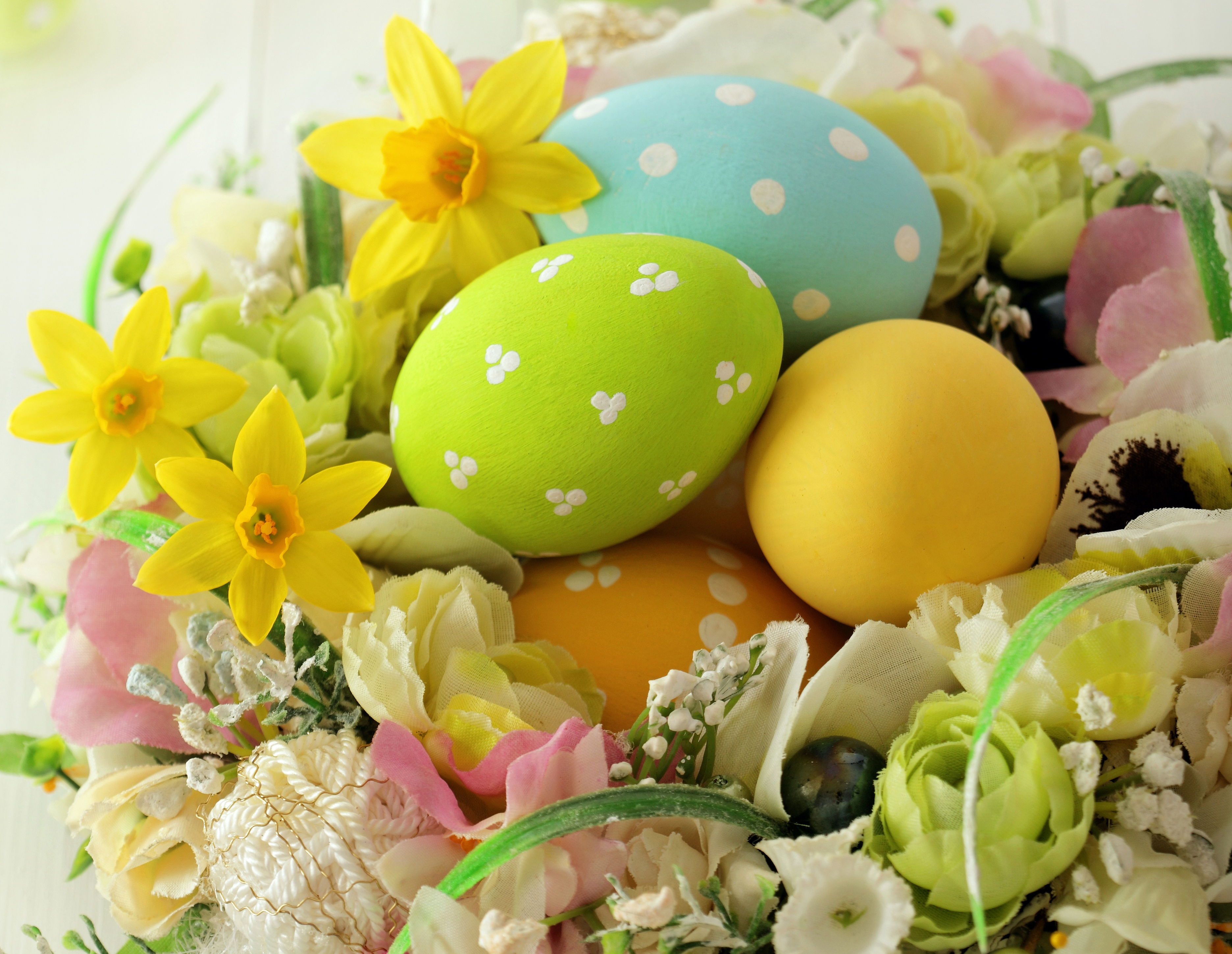 Laden Sie das Feiertage, Ostern, Narzissen, Blume, Osterei-Bild kostenlos auf Ihren PC-Desktop herunter