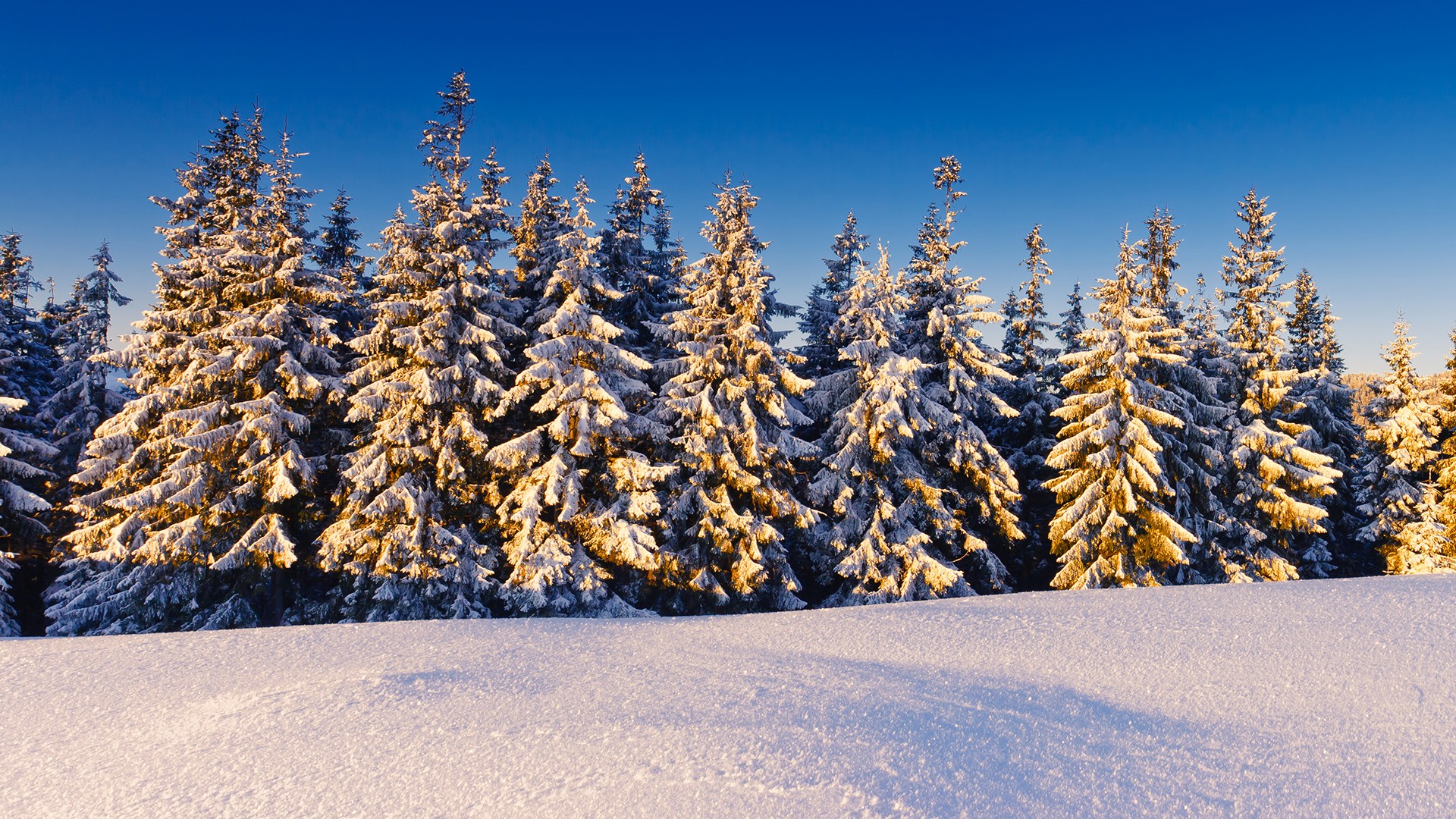 Скачати мобільні шпалери Зима, Земля безкоштовно.