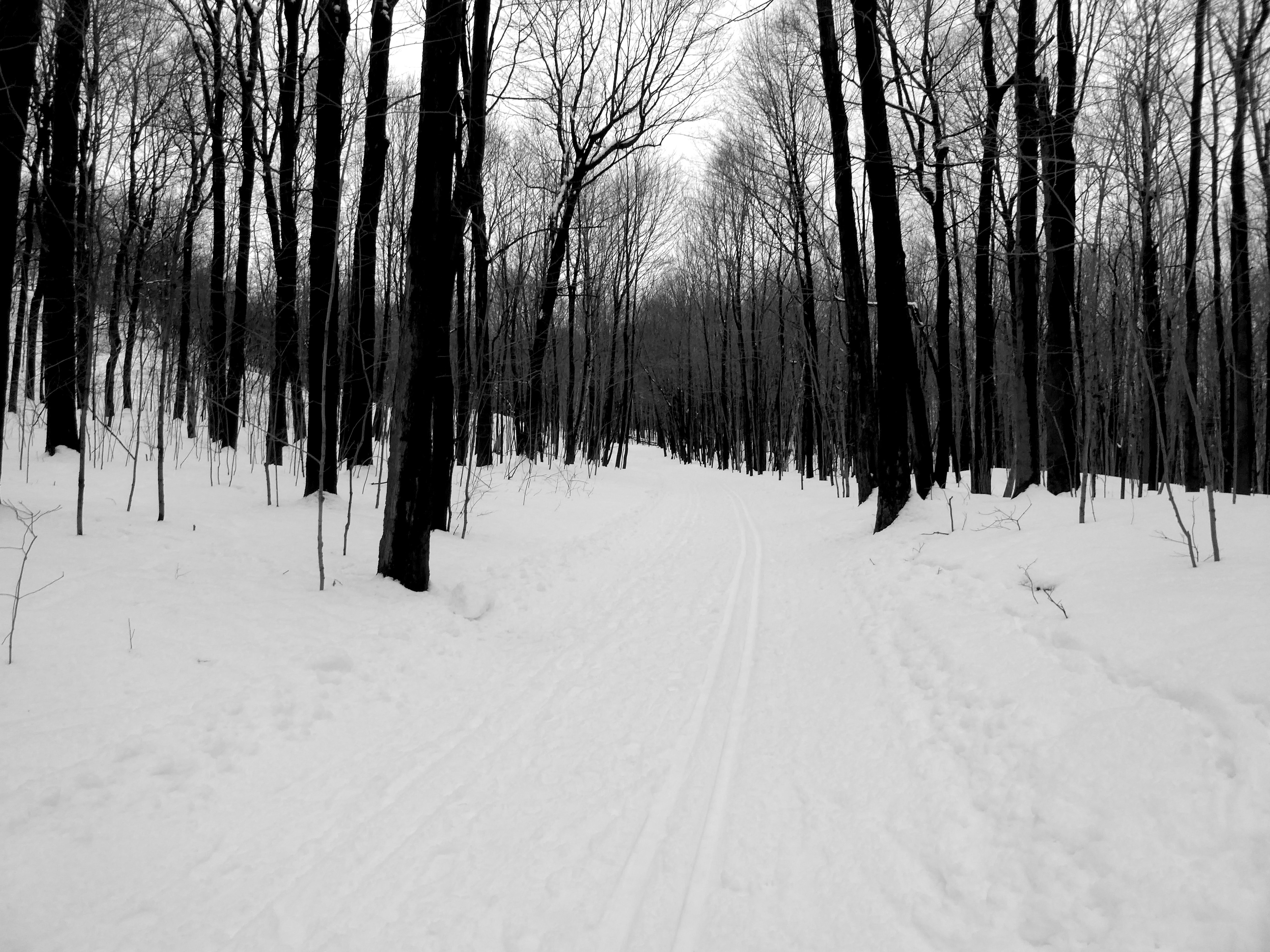 Download mobile wallpaper Chb, Forest, Winter, Road, Bw, Nature for free.