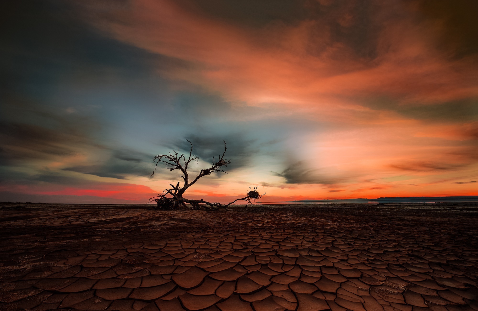 Free download wallpaper Sunset, Sky, Desert, Horizon, Earth on your PC desktop