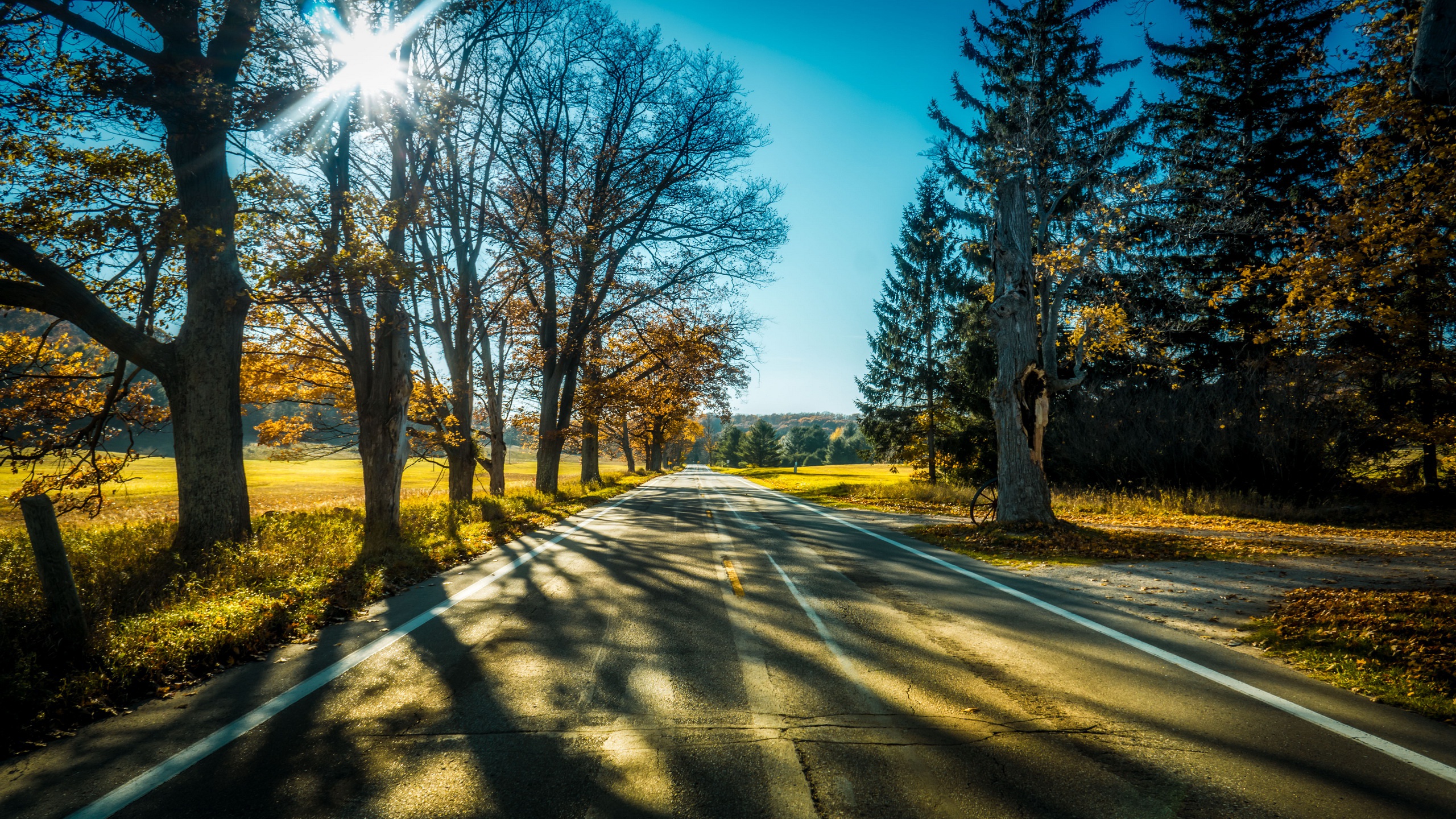 Free download wallpaper Nature, Road, Tree, Sunny, Man Made on your PC desktop