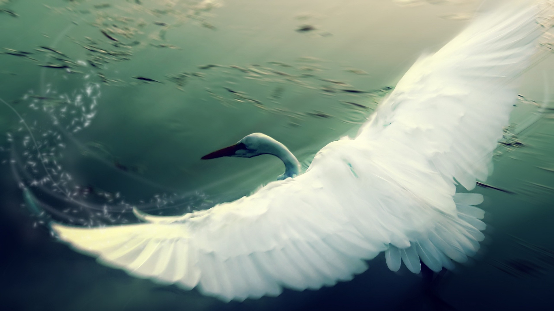 Download mobile wallpaper Manipulation, Bird, Photography for free.