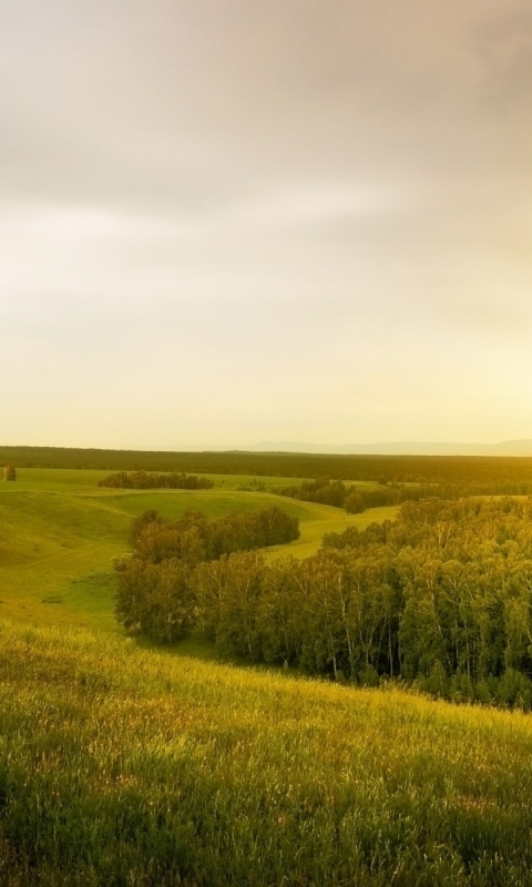 Handy-Wallpaper Landschaft, Wald, Baum, Sonnenaufgang, Sonnenstrahl, Erde/natur, Sonnenbohne kostenlos herunterladen.