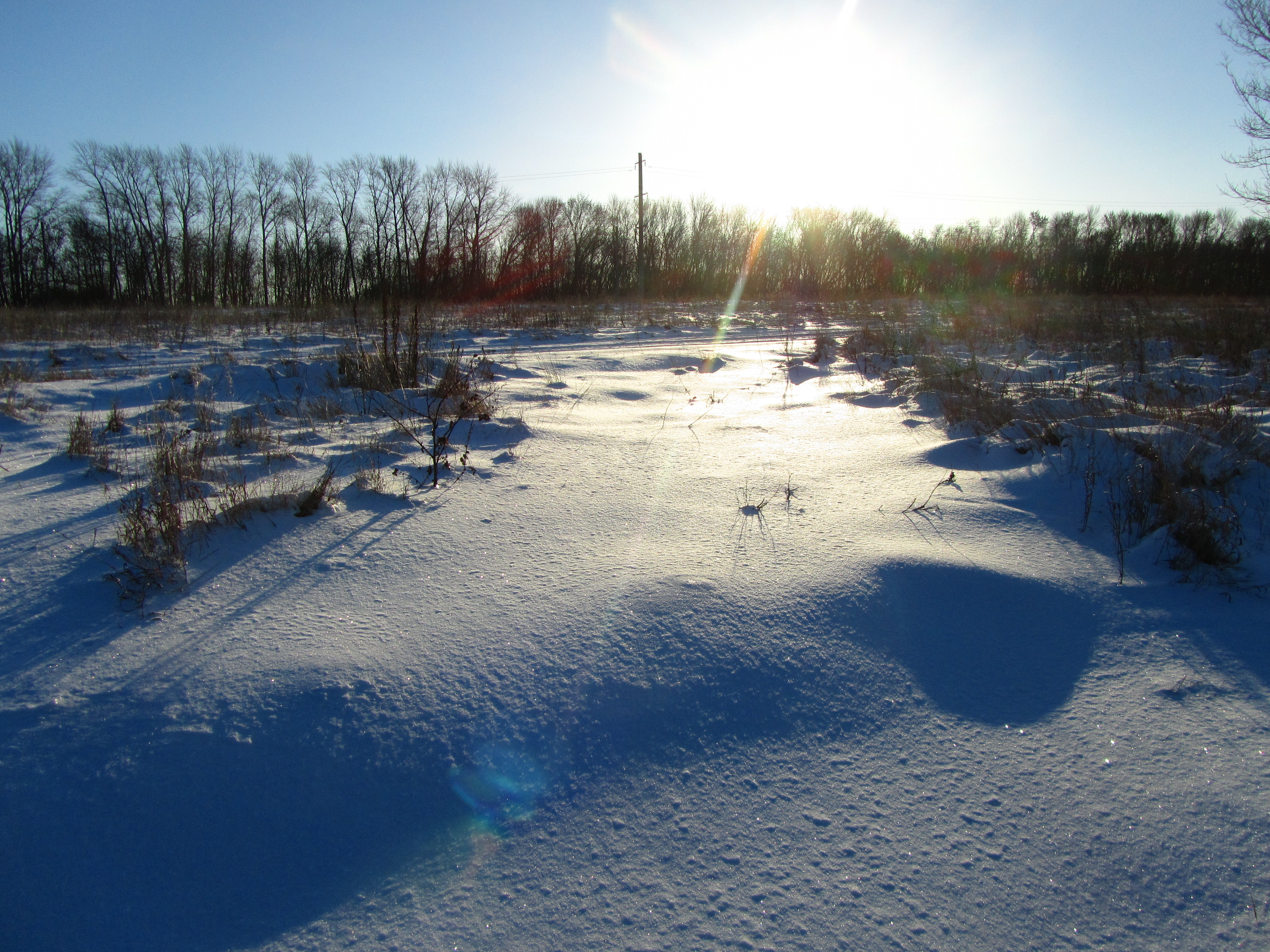 Descarga gratis la imagen Invierno, Tierra/naturaleza en el escritorio de tu PC